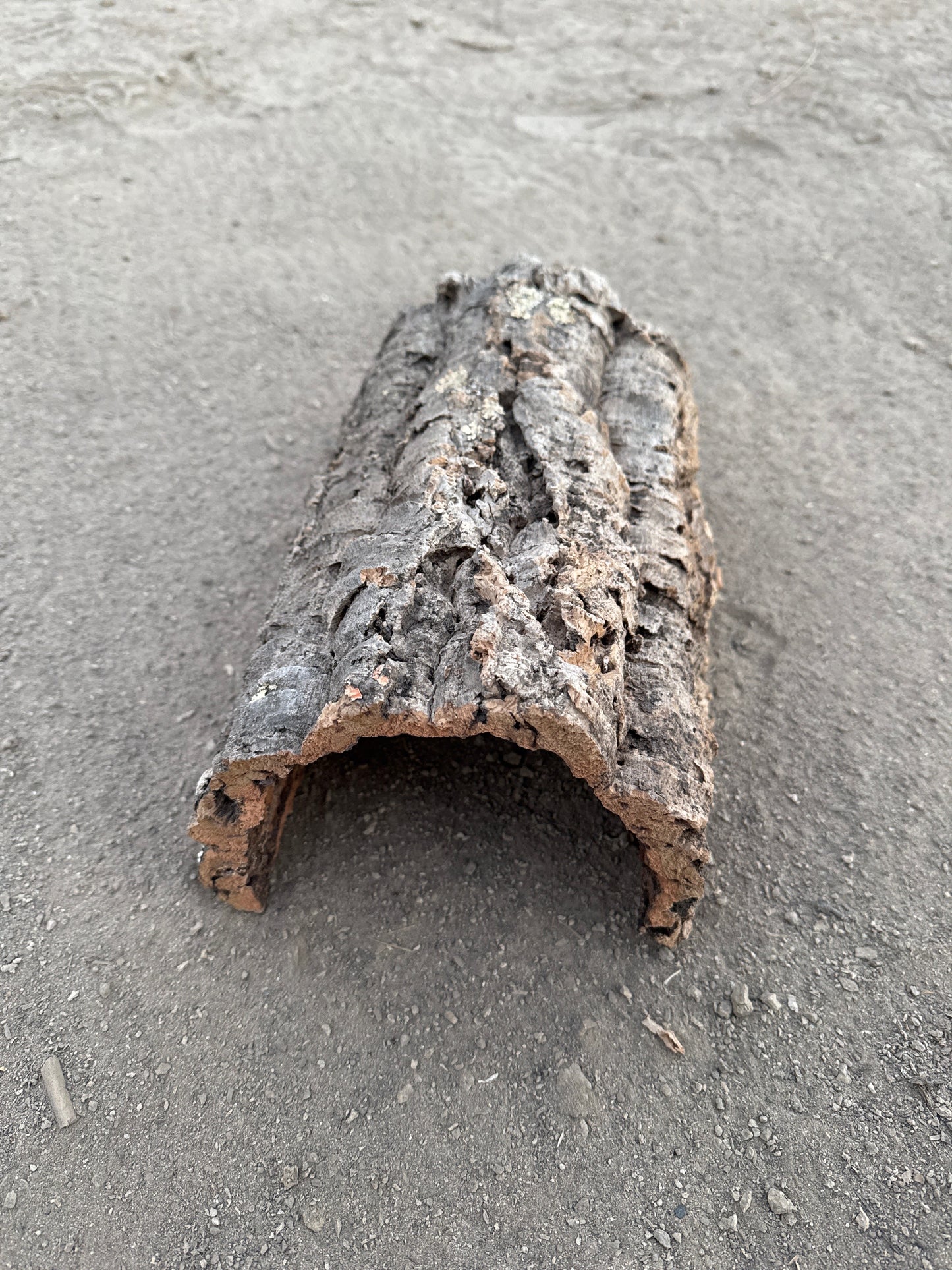 Kork Halbröhre M 10-20cm breit und 25-40cm lang