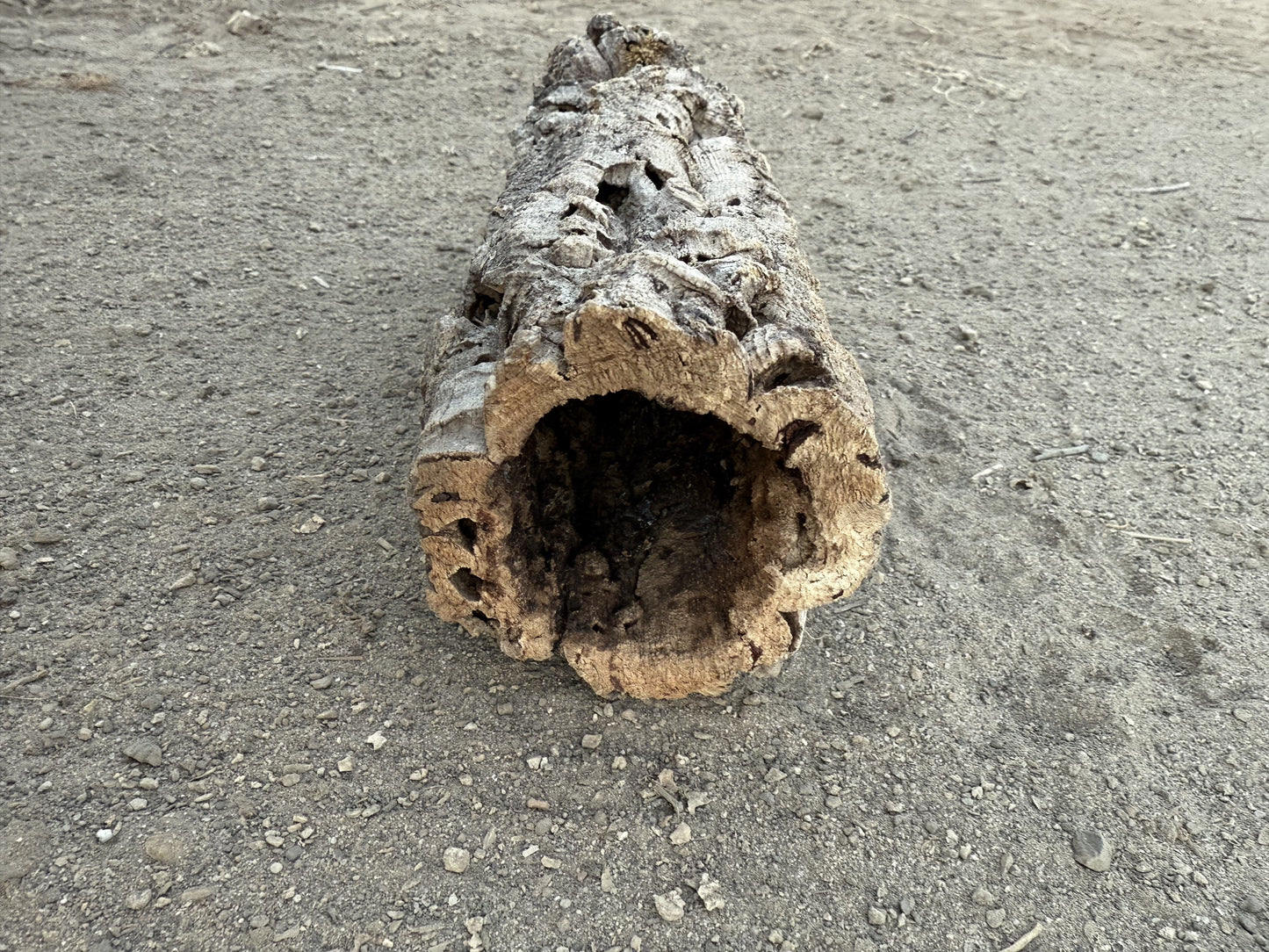 Korkröhre XS bis 6cm Innendurchmesser bis 20cm lang