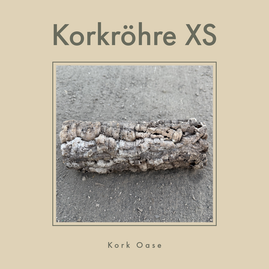 Korkröhre XS bis 6cm Innendurchmesser bis 20cm lang