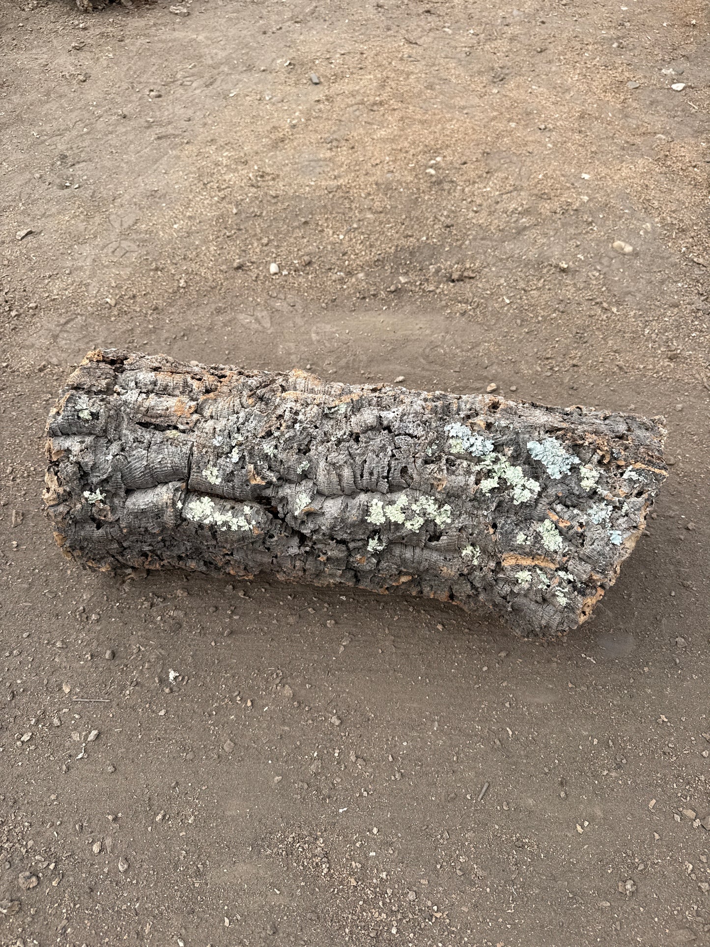 Korkröhre Einzelstück ca. 60cm lang 20-25cm Innendurchmesser