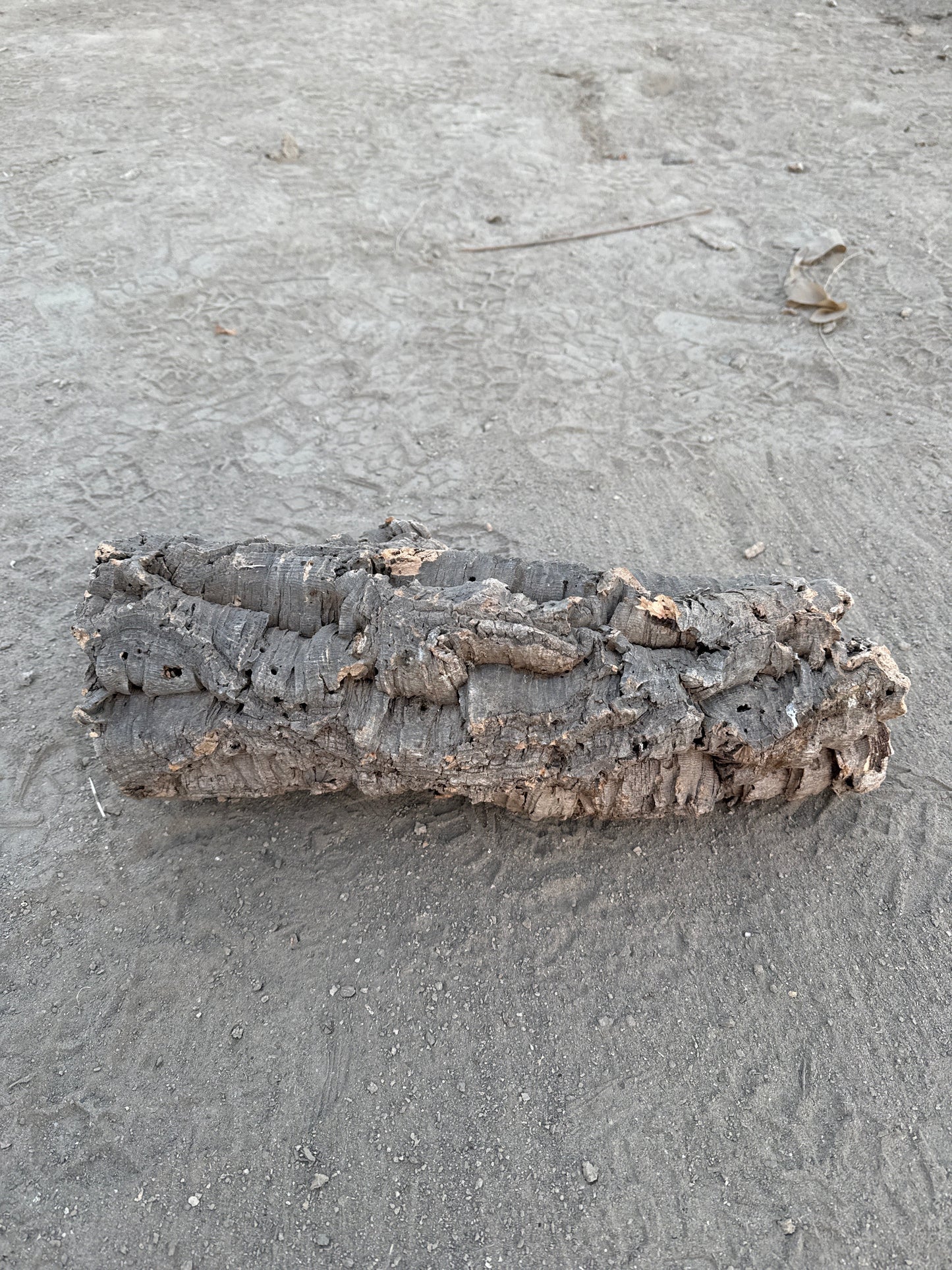 Korkröhre M bis 14cm Innendurchmesser 20-40cm lang