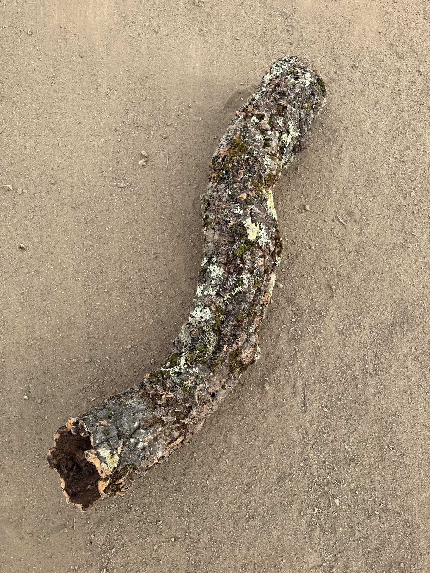 Korkröhre gebogen mit Öffnung 103cm 10-12cm Innendurchmesser