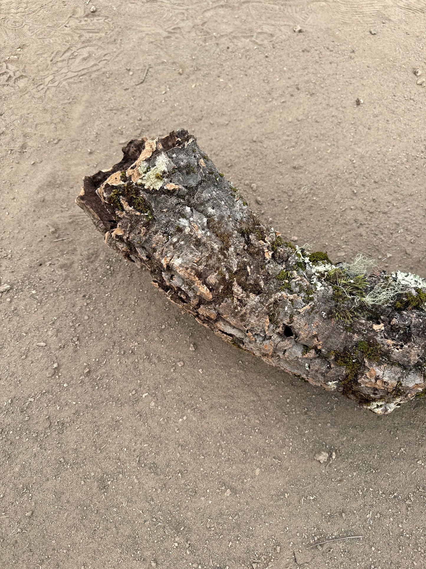 Korkröhre gebogen mit Öffnung 103cm 10-12cm Innendurchmesser