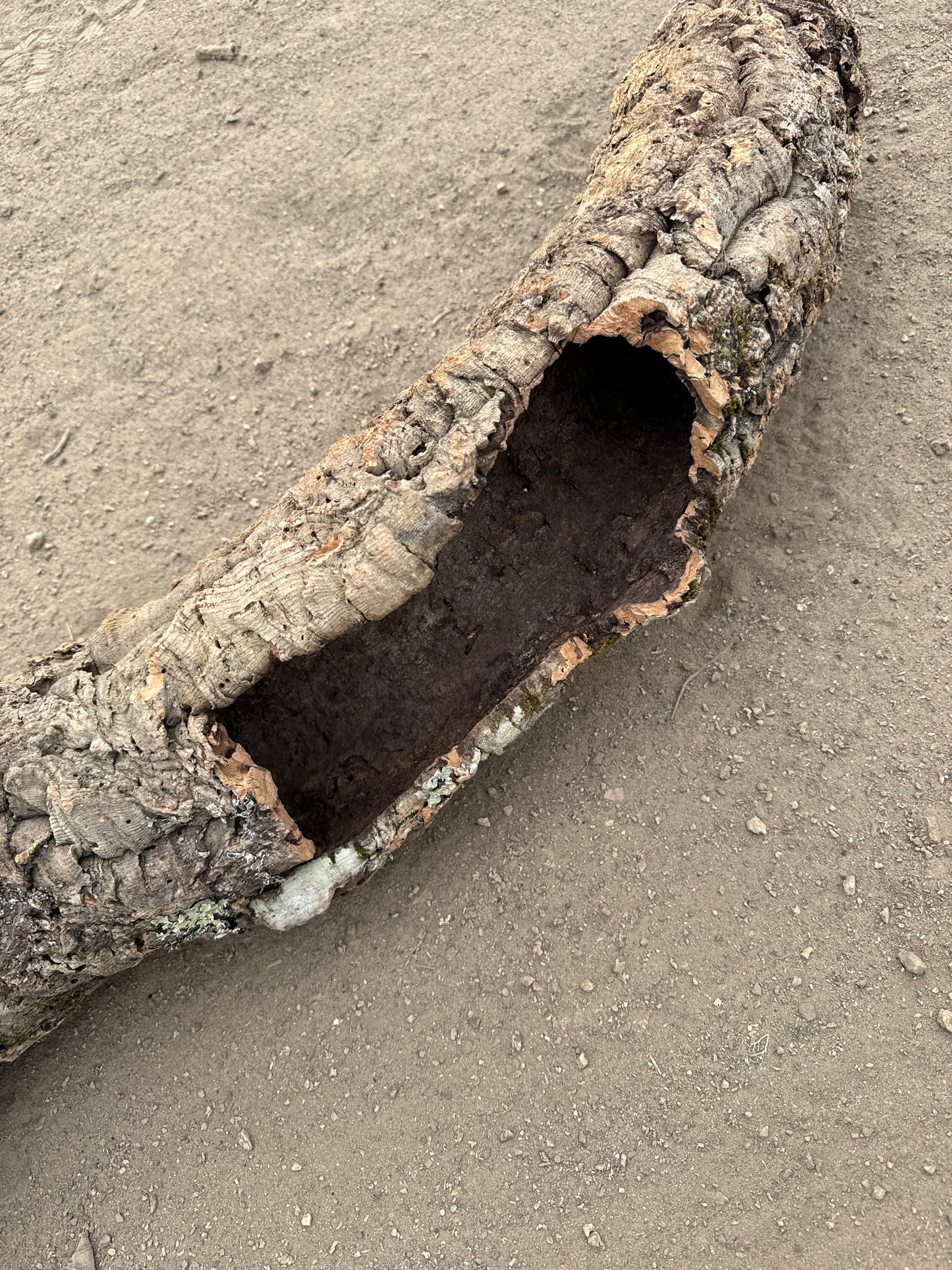 Korkröhre gebogen mit Öffnung 103cm 10-12cm Innendurchmesser