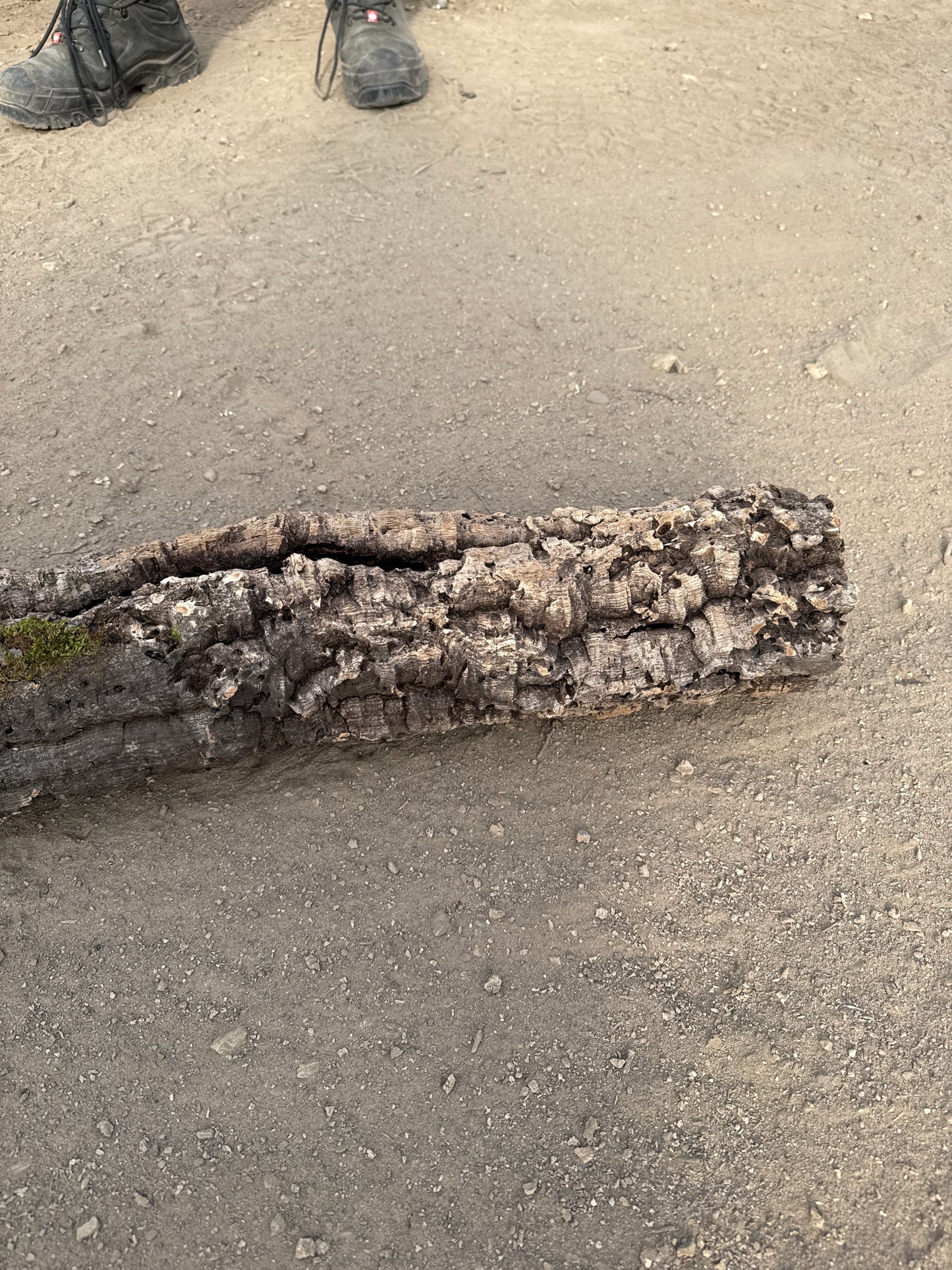 Korkröhre 78cm lang 9cm Innendurchmesser