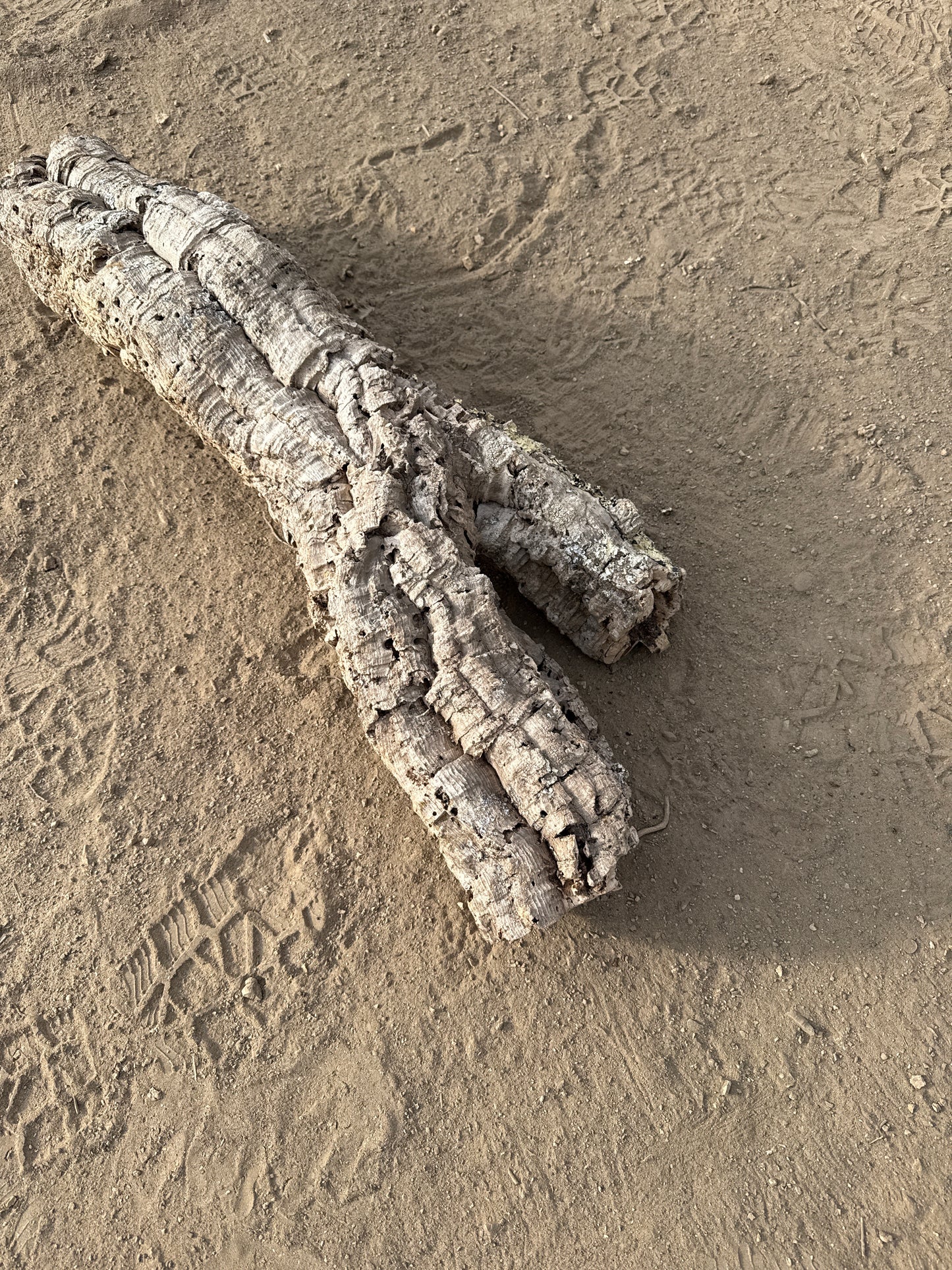 Korkröhre Y 90cm lang 36cm breit 6-9cm Innendurchmesser