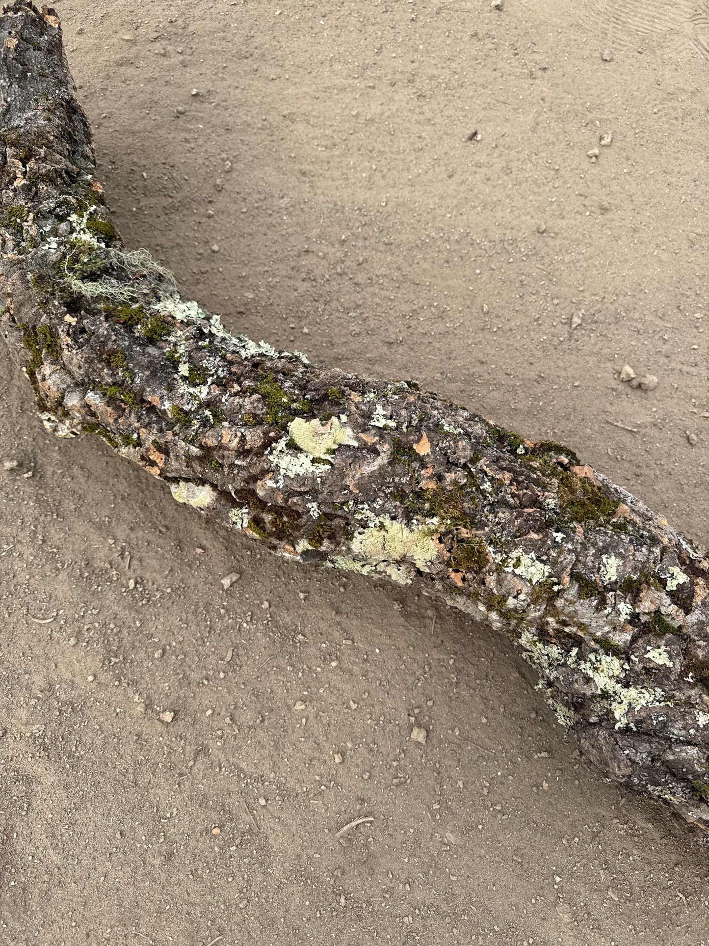 Korkröhre gebogen mit Öffnung 103cm 10-12cm Innendurchmesser