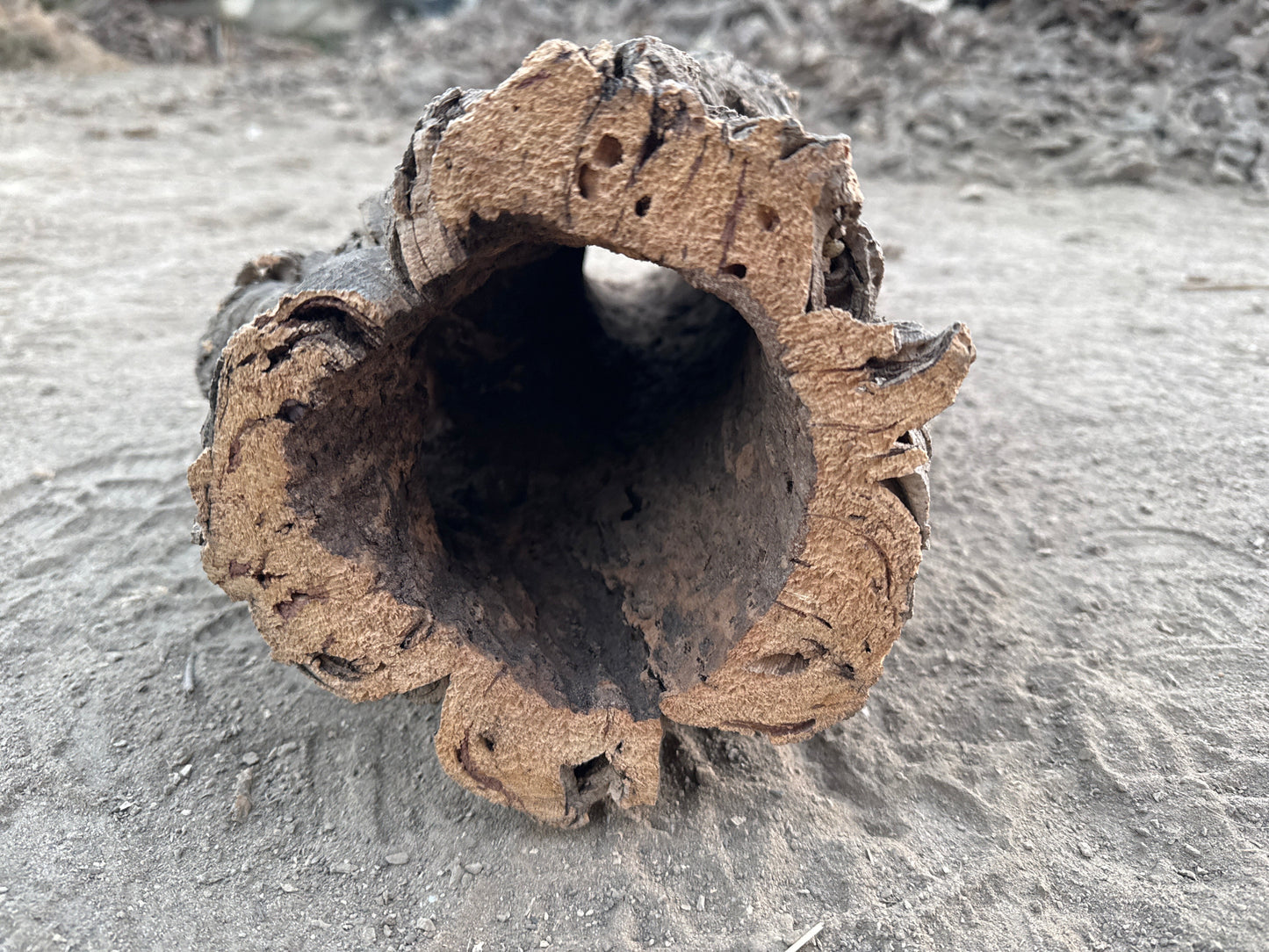 Korkröhre M bis 14cm Innendurchmesser 20-40cm lang