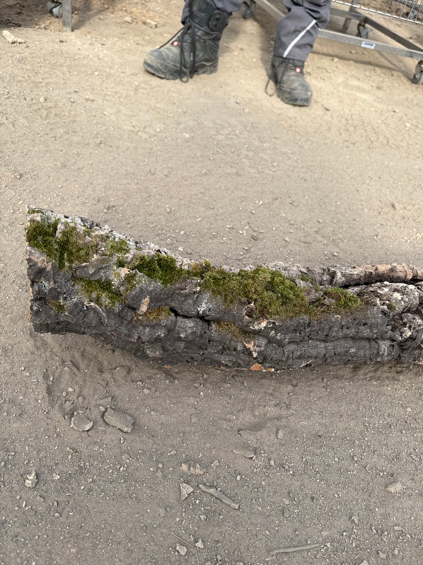 Korkröhre 78cm lang 9cm Innendurchmesser