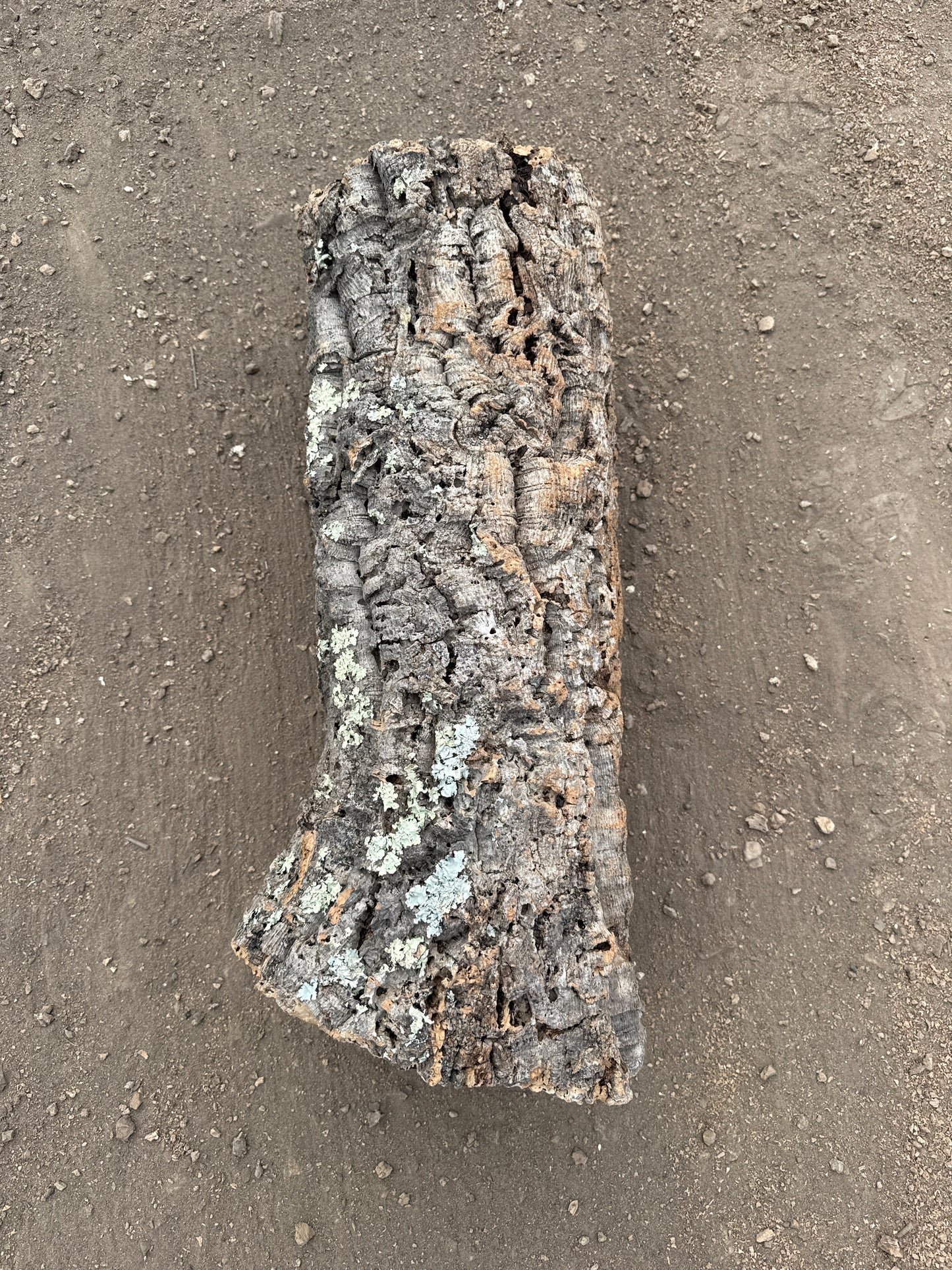 Korkröhre Einzelstück ca. 60cm lang 20-25cm Innendurchmesser