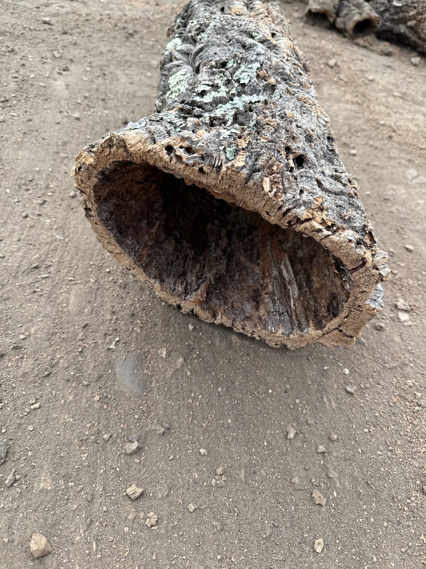 Korkröhre Einzelstück ca. 60cm lang 20-25cm Innendurchmesser