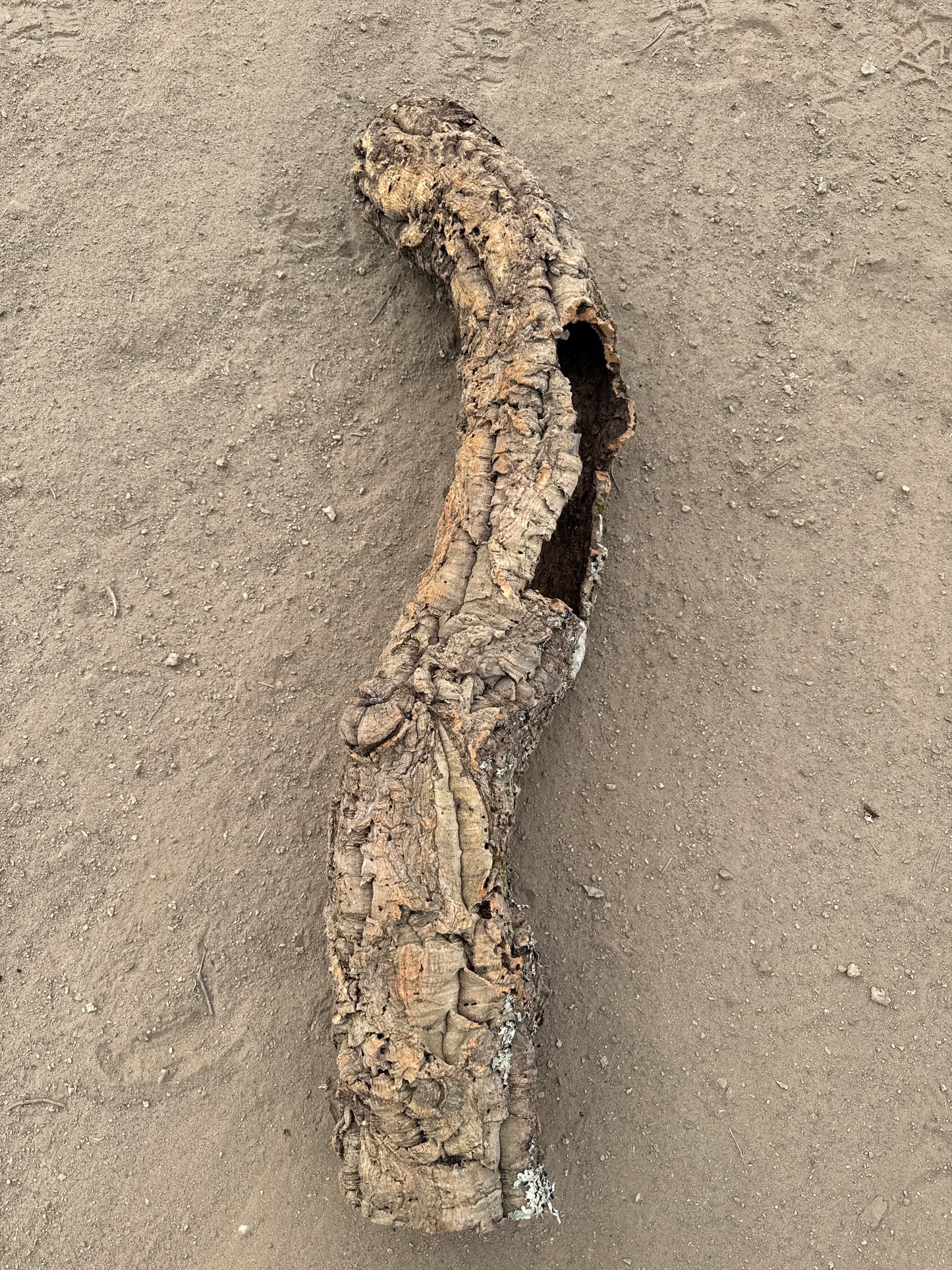 Korkröhre gebogen mit Öffnung 103cm 10-12cm Innendurchmesser