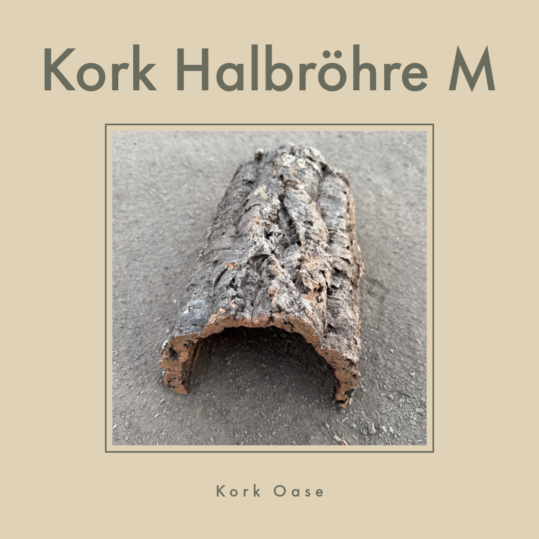 Kork Halbröhre M 10-20cm breit und 25-40cm lang