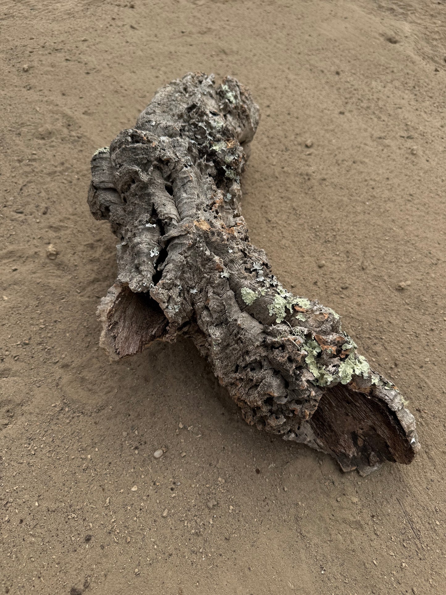 Naturkorkröhre 50 cm – Verzweigtes Einzelstück mit 4–10 cm Öffnungen