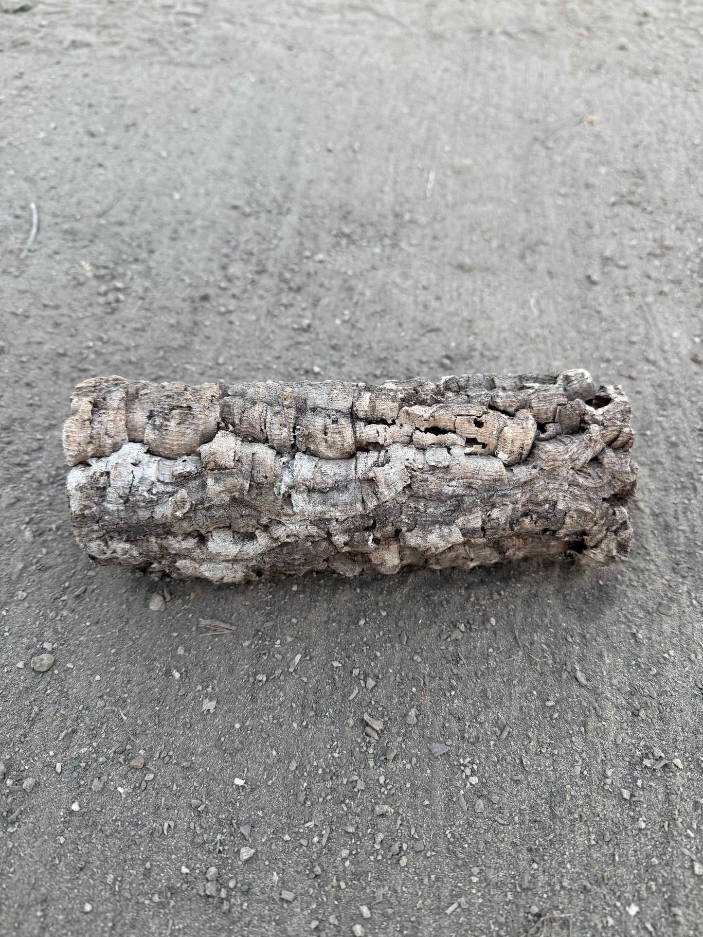 Korkröhre XS bis 6cm Innendurchmesser bis 20cm lang
