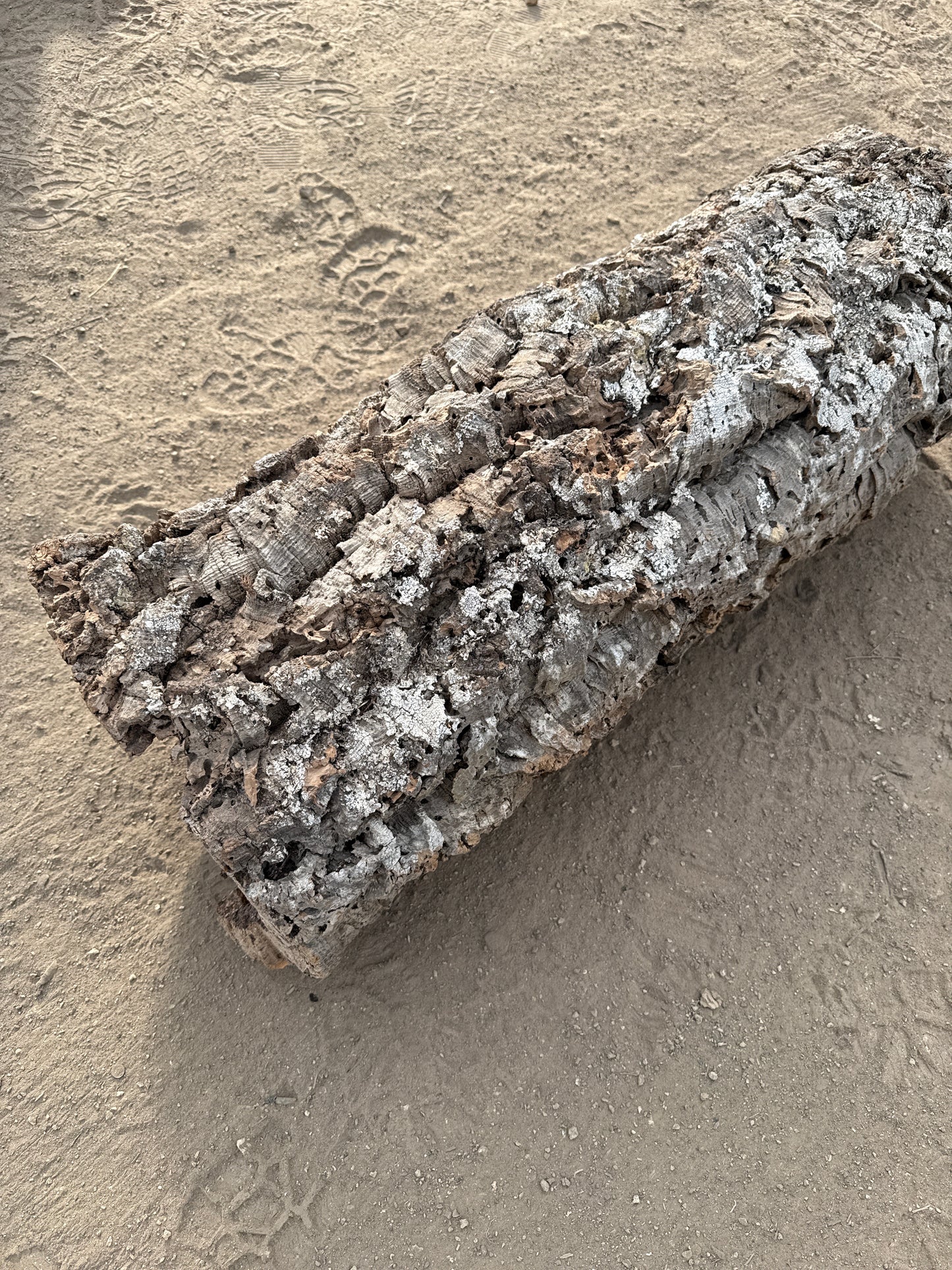 Korkröhre XXL 90cm lang 21-26cm Innendurchmesser