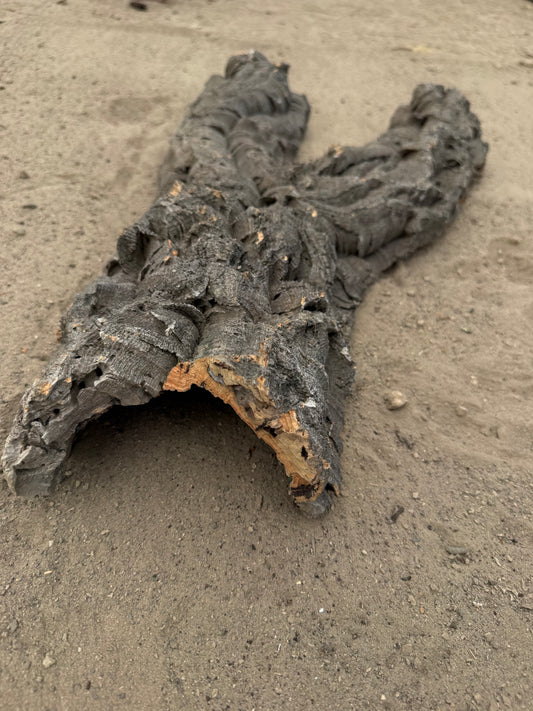 Flache Naturkork Halbröhre 60 cm – Verzweigtes Einzelstück