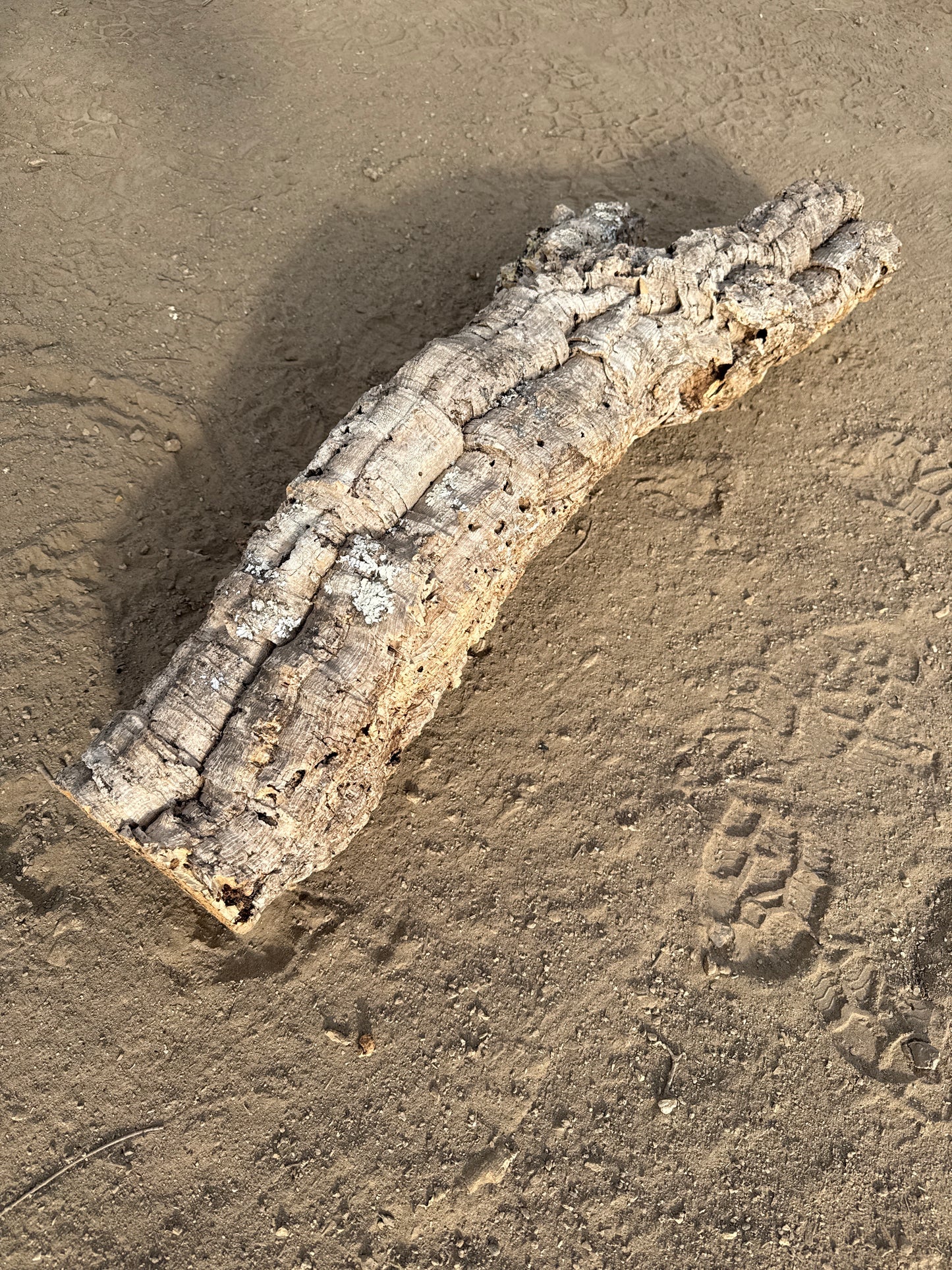 Korkröhre Y 90cm lang 36cm breit 6-9cm Innendurchmesser