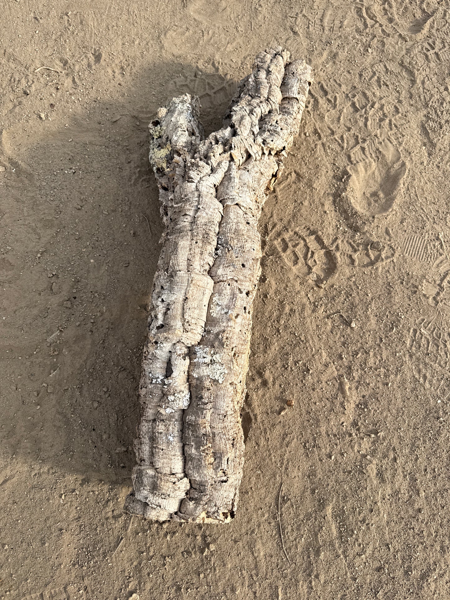 Korkröhre Y 90cm lang 36cm breit 6-9cm Innendurchmesser