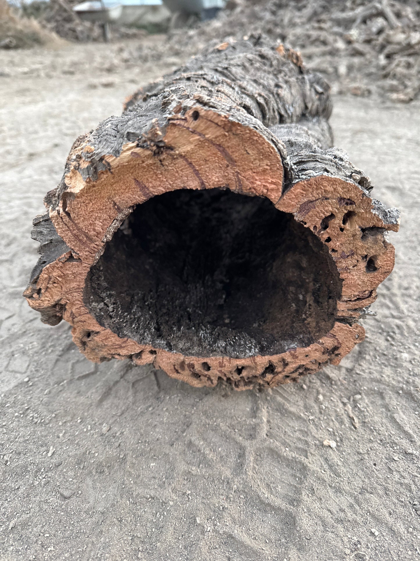 Korkröhre L bis 19cm Innendurchmesser bis 55cm lang