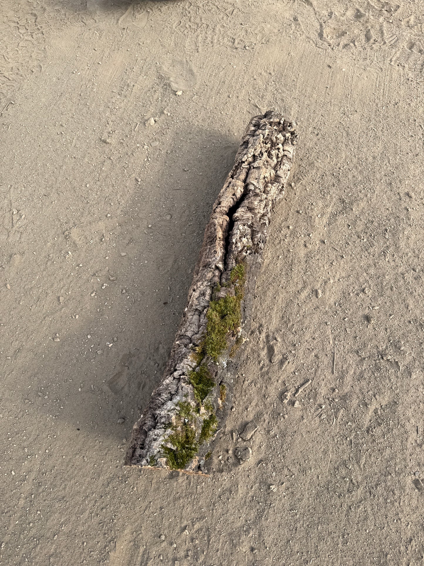 Korkröhre 78cm lang 9cm Innendurchmesser