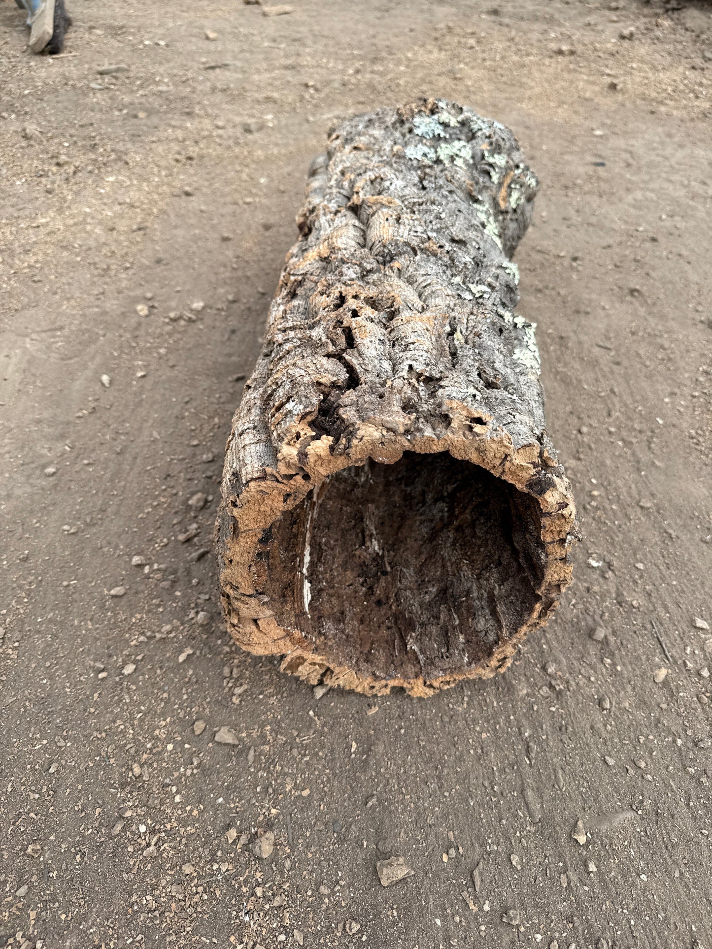 Korkröhre Einzelstück ca. 60cm lang 20-25cm Innendurchmesser