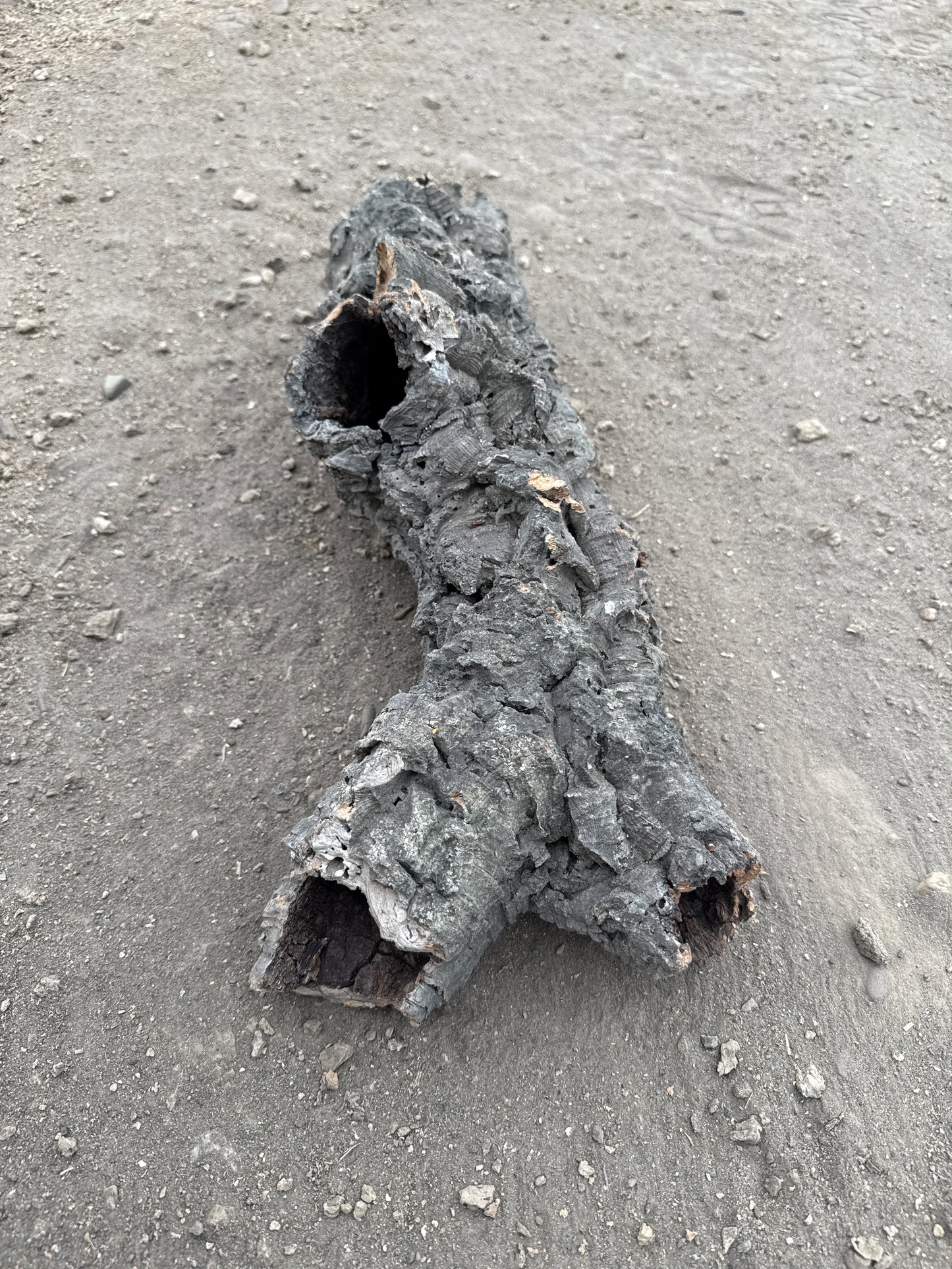 Korkröhre mit dicker Rinde 52cm lang 5-8cm Innendurchmesser