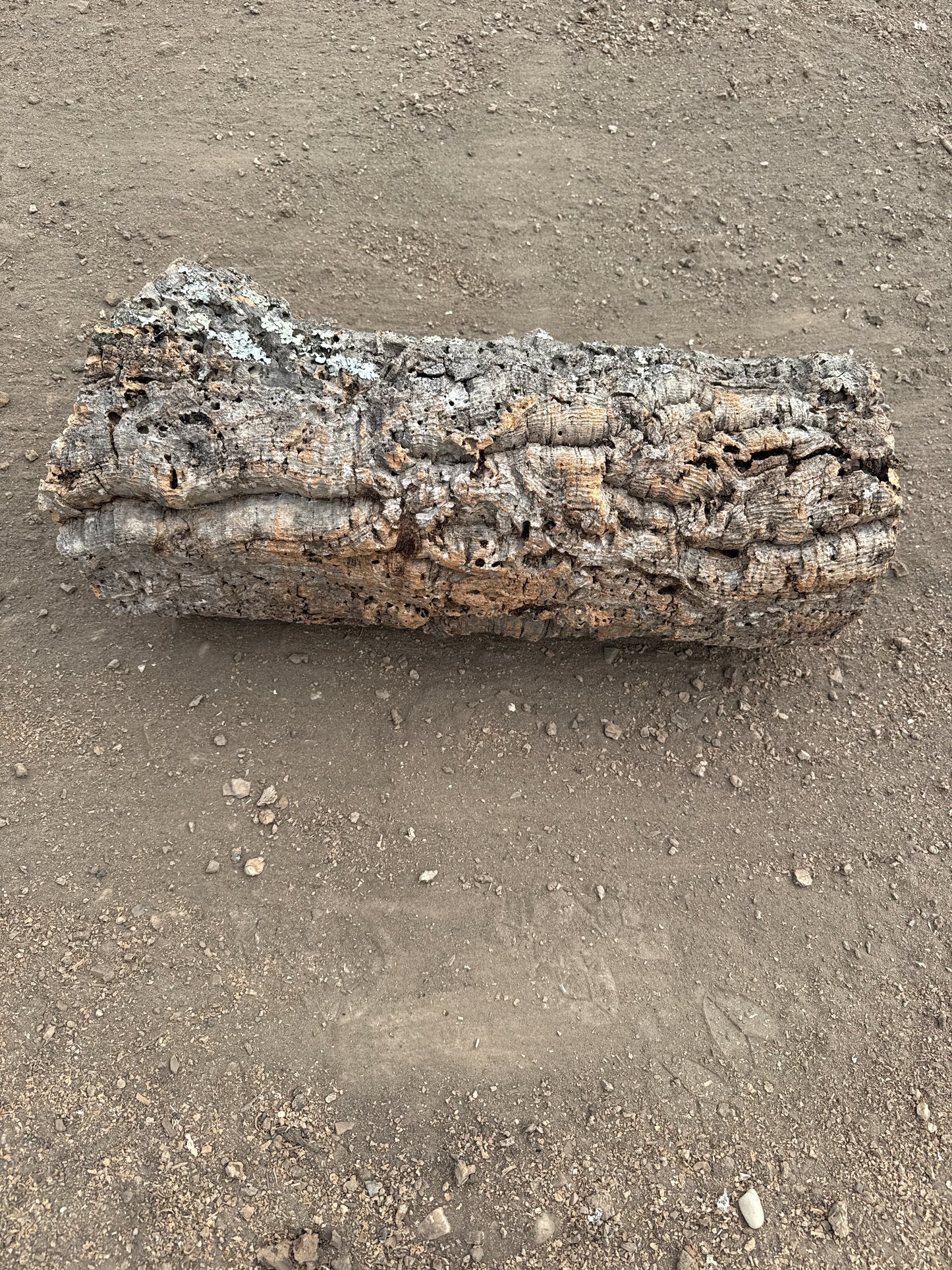 Korkröhre Einzelstück ca. 60cm lang 20-25cm Innendurchmesser