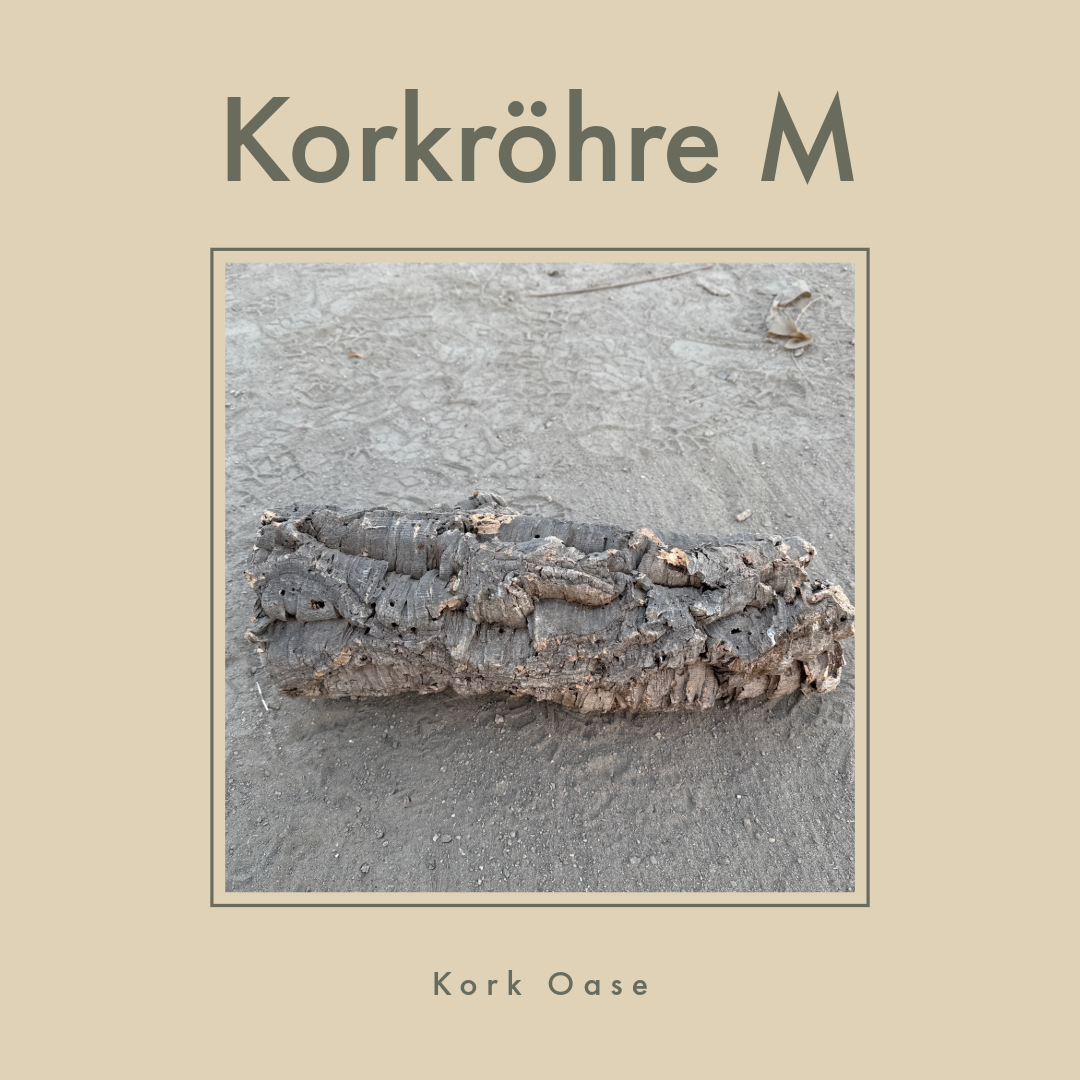 Korkröhre M bis 14cm Innendurchmesser 20-40cm lang