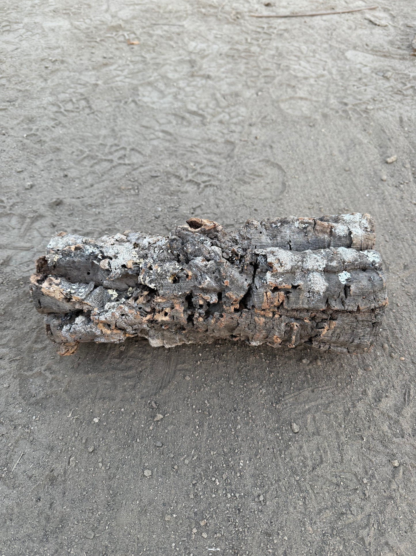 Korkröhre S bis 10cm Innendurchmesser 20-40cm lang