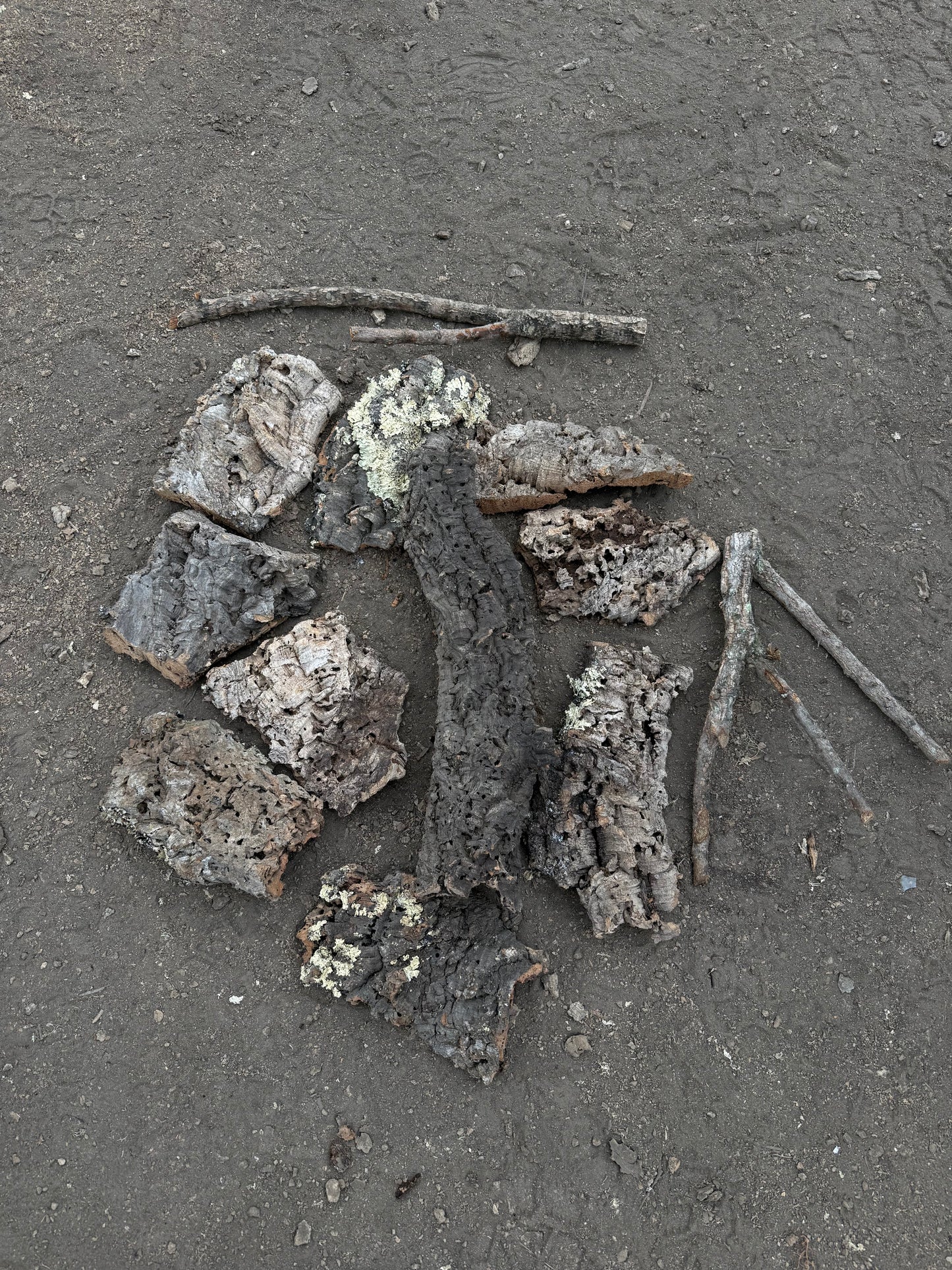 Kork Mischbox (Äste, Röhre, Korkstücke)