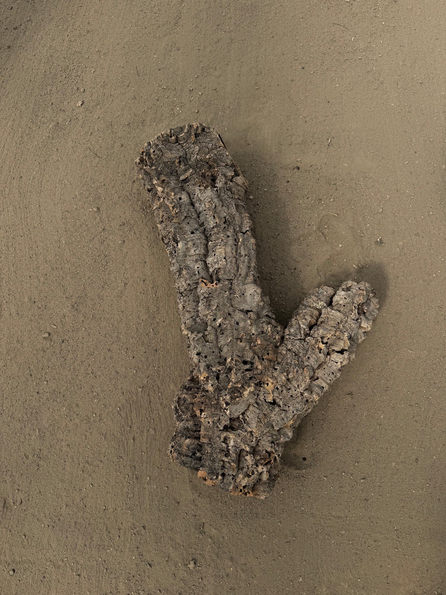 Naturkorkröhre 70 cm – Verzweigtes Einzelstück mit 7–12 cm Öffnungen