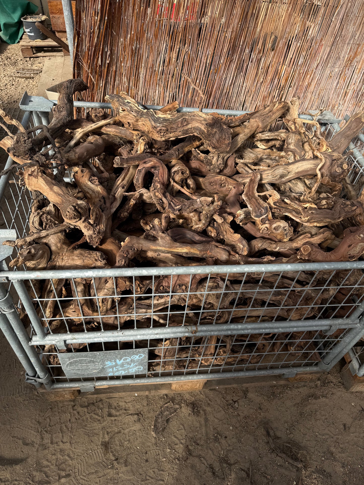 Naturbelassene Weinreben – Rebstock Holz für Terrarium & Aquascaping (20–130 cm)