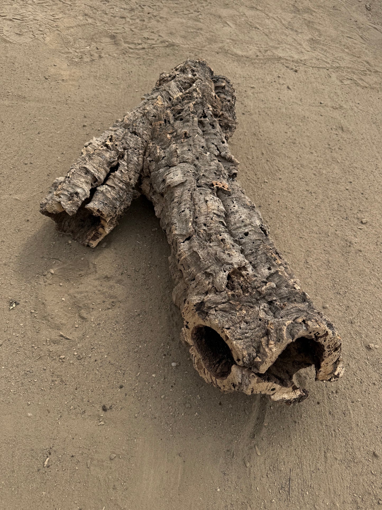Naturkorkröhre 70 cm – Verzweigtes Einzelstück mit 7–12 cm Öffnungen