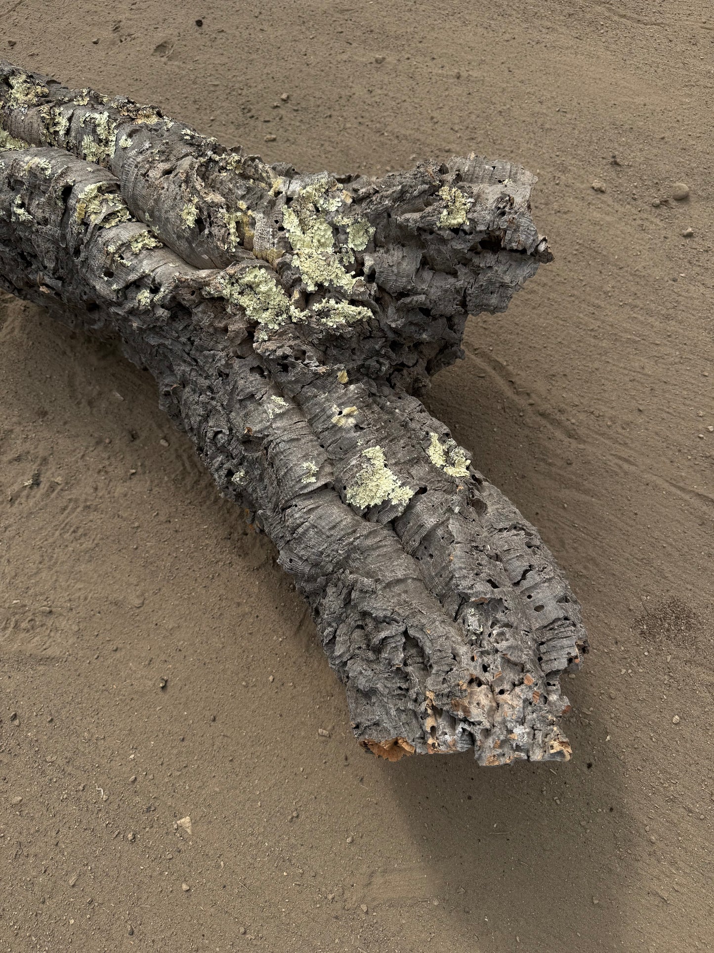 XL Naturkorkröhre 90 cm – Massive Premiumröhre mit 13–20 cm Öffnungen