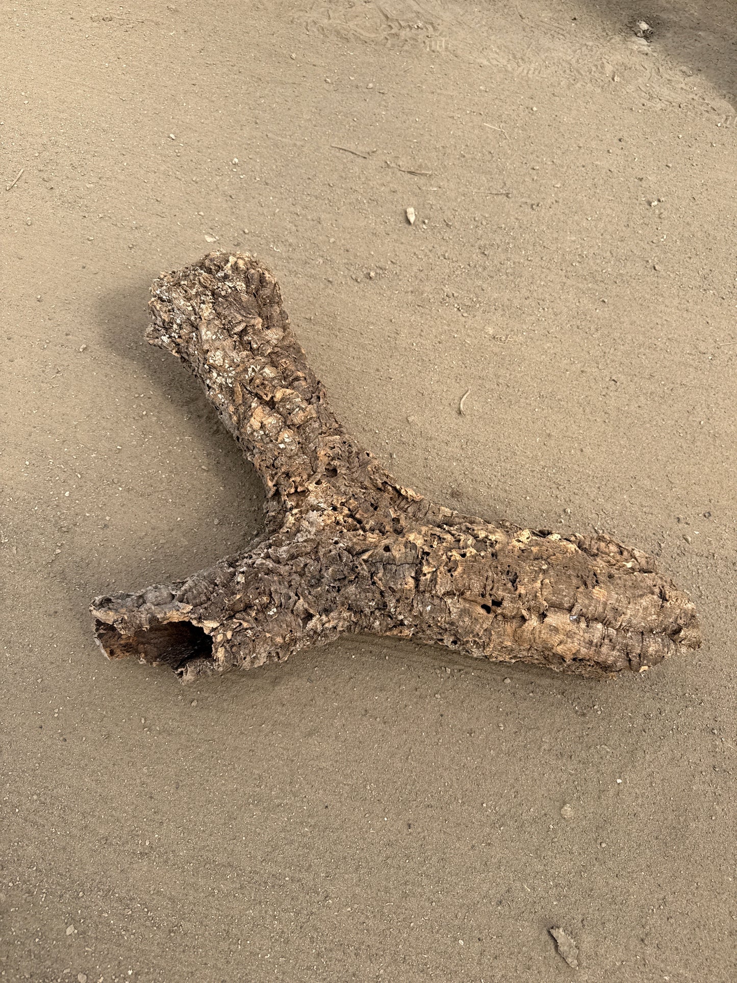 Y-Korkröhre Verzweigte Korkröhre 8-10cm