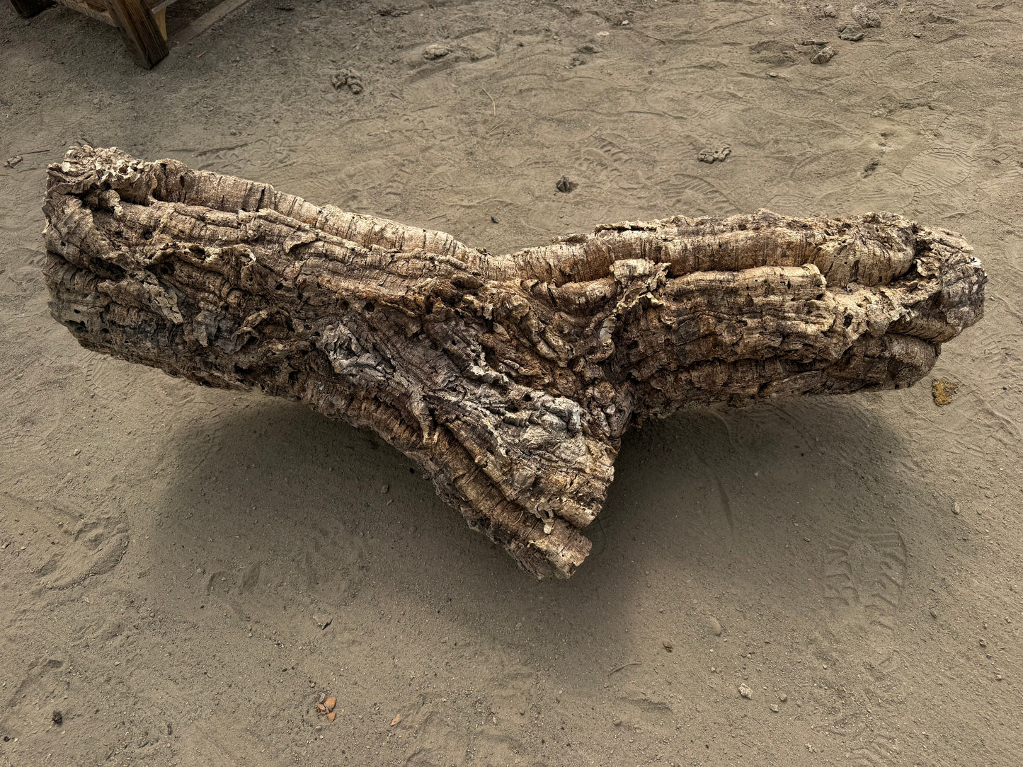XXL Naturkork Y-Röhre 113 cm – Verzweigtes Einzelstück mit Flechten
