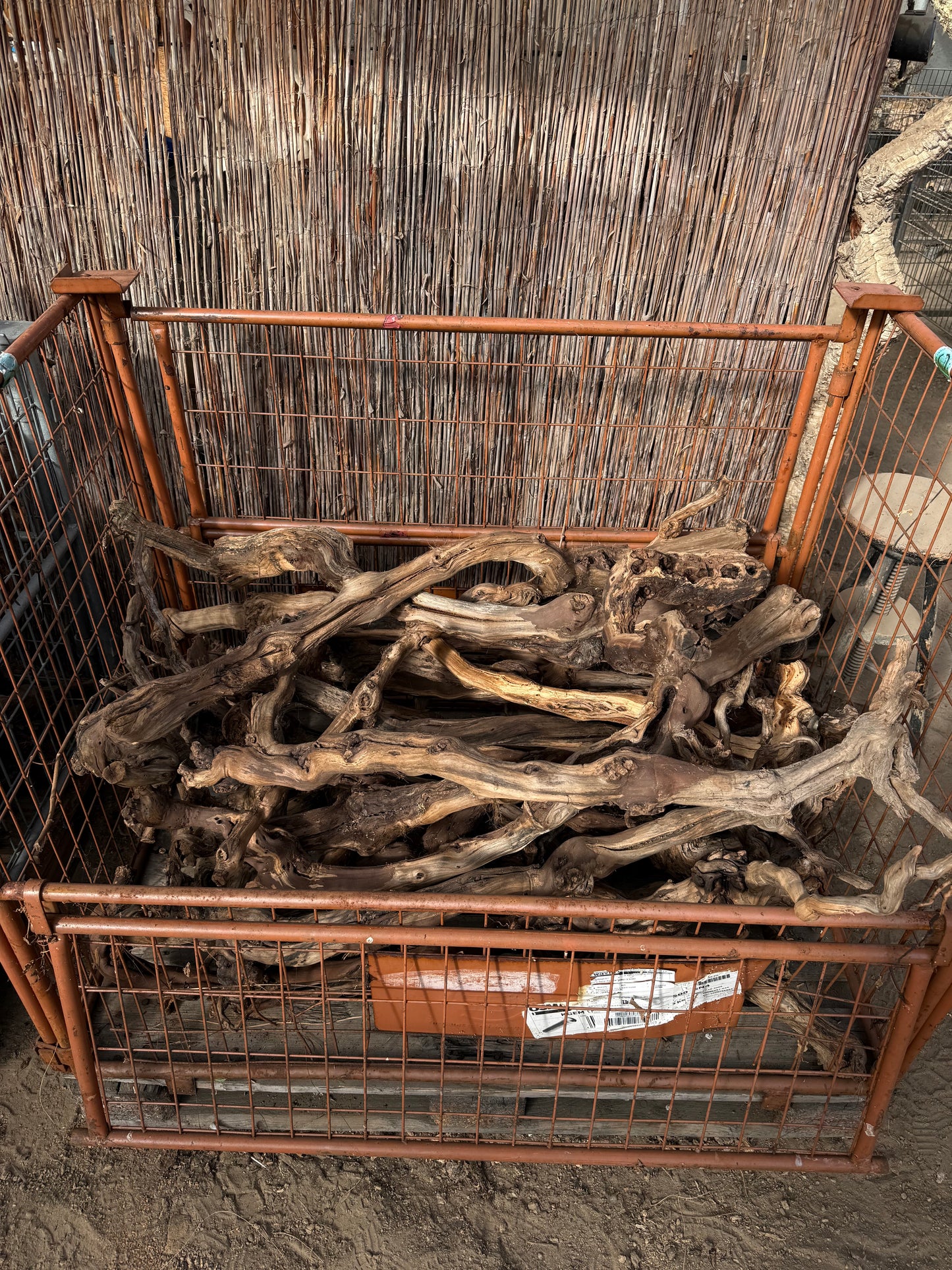 Naturbelassene Weinreben – Rebstock Holz für Terrarium & Aquascaping (20–130 cm)
