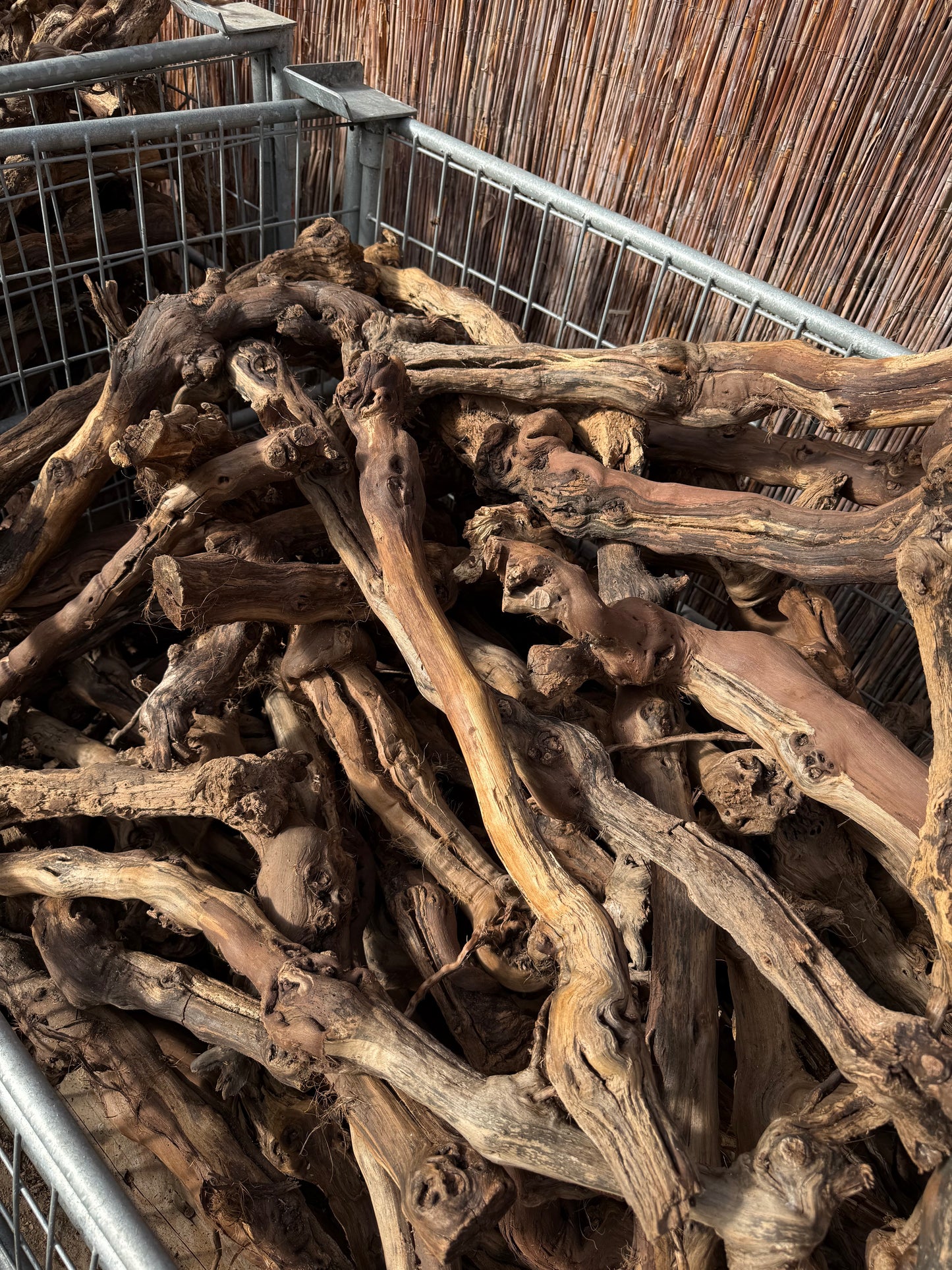 Naturbelassene Weinreben – Rebstock Holz für Terrarium & Aquascaping (20–130 cm)