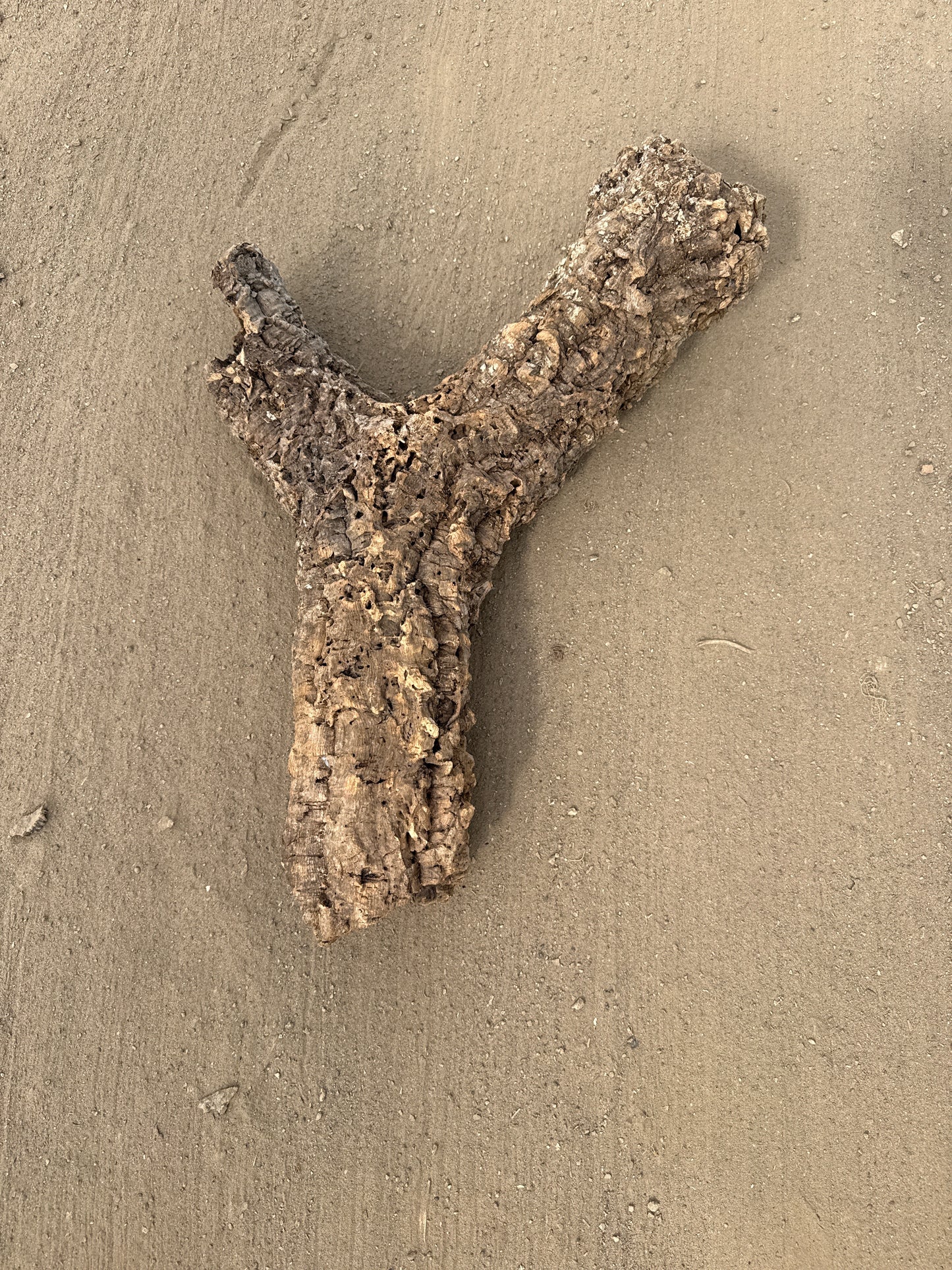 Y-Korkröhre Verzweigte Korkröhre 8-10cm