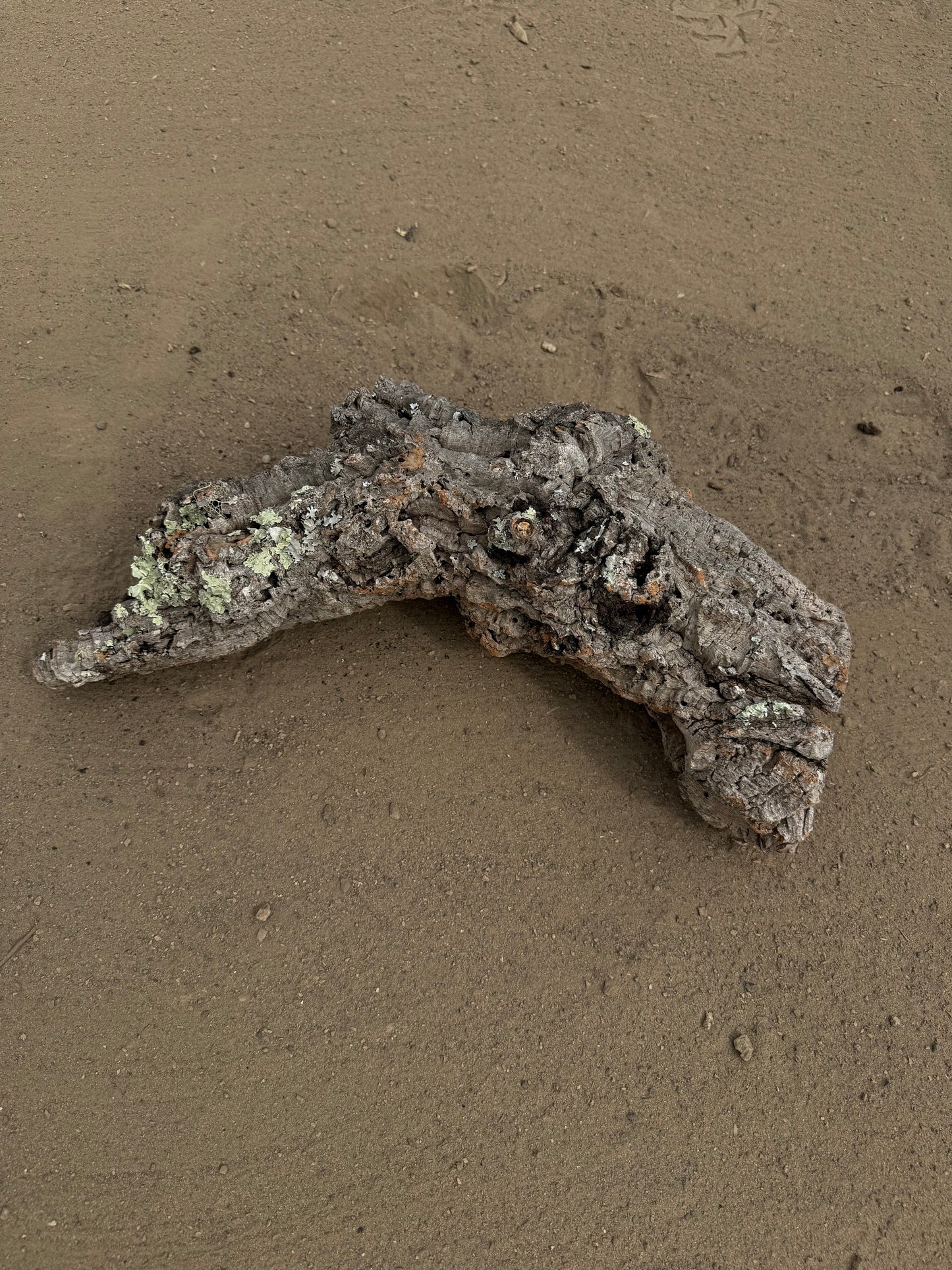 Naturkorkröhre 50 cm – Verzweigtes Einzelstück mit 4–10 cm Öffnungen