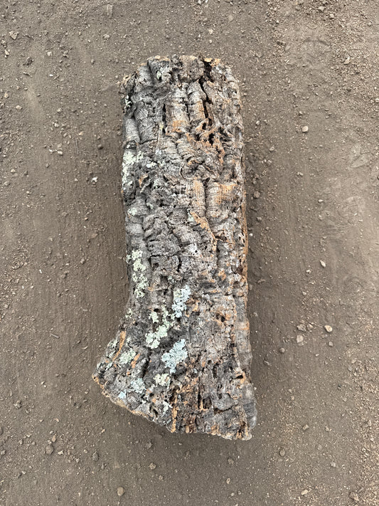 Korkröhre Einzelstück ca. 60cm lang 20-25cm Innendurchmesser