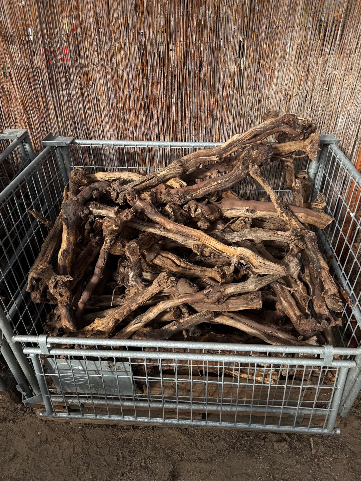 Naturbelassene Weinreben – Rebstock Holz für Terrarium & Aquascaping (20–130 cm)
