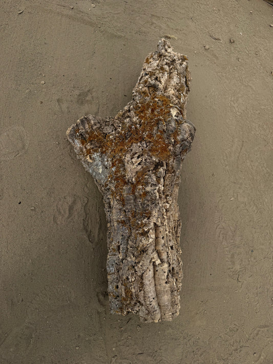 XXL Naturkork Y-Röhre 113 cm – Verzweigtes Einzelstück mit Flechten