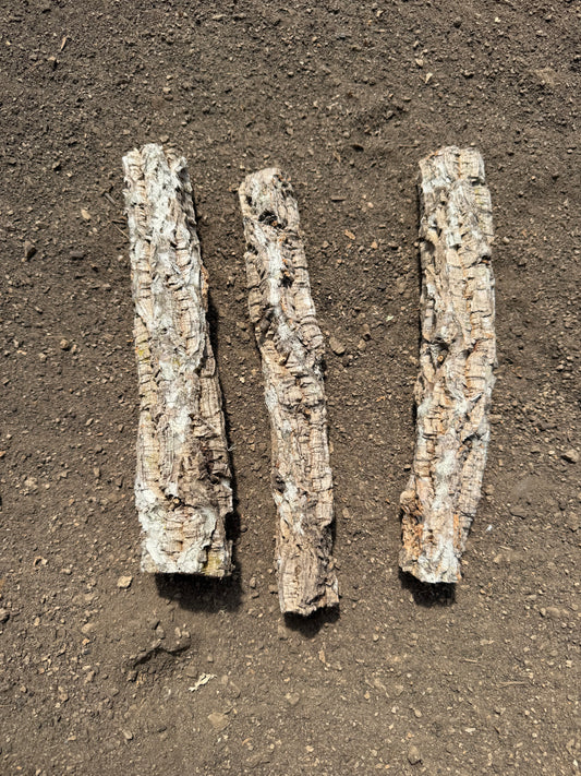 3er Set Korkast Sitzstange 20-25cm lang 3-5cm Durchmesser