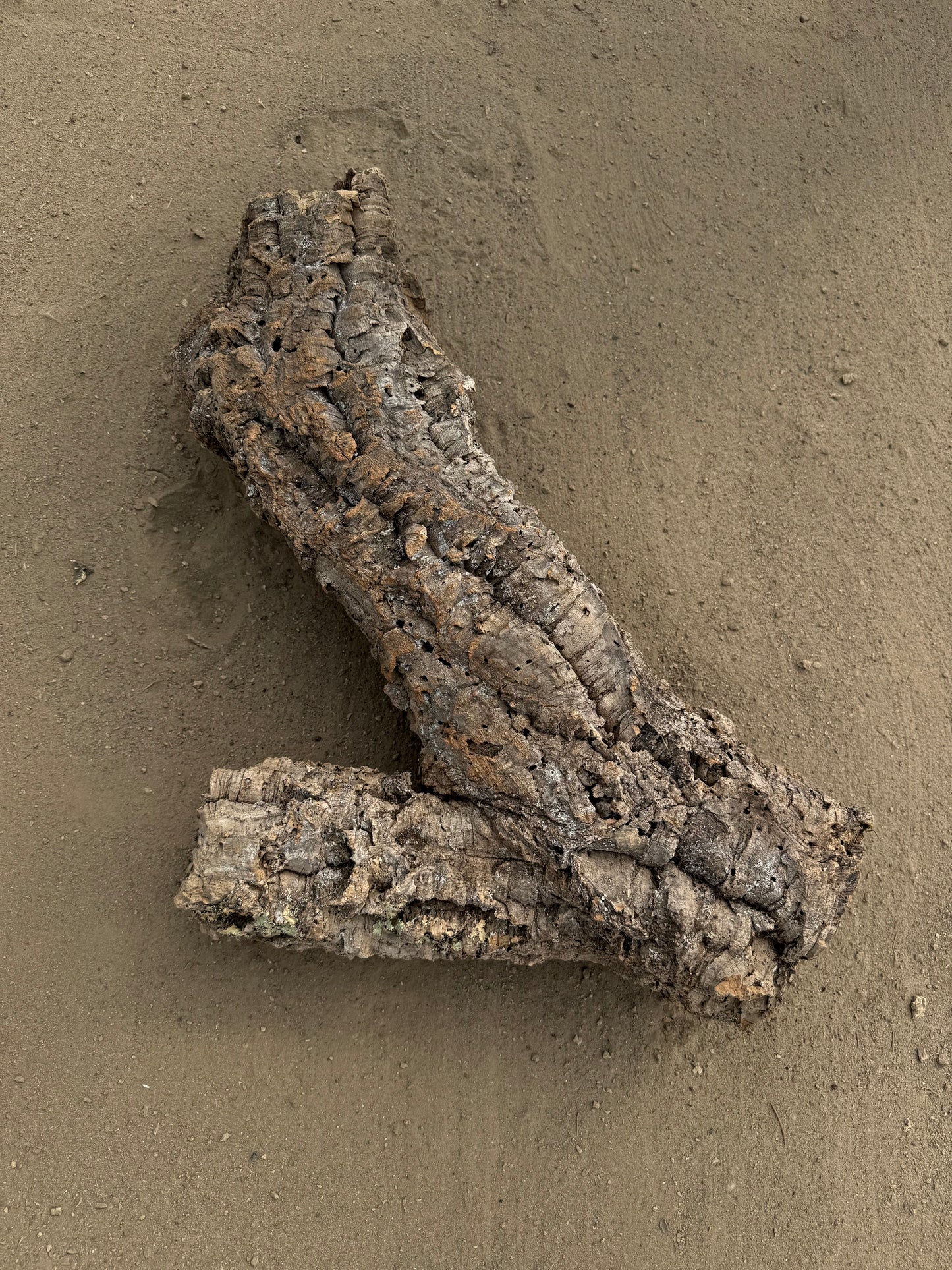 Naturkorkröhre 70 cm – Verzweigtes Einzelstück mit 7–12 cm Öffnungen