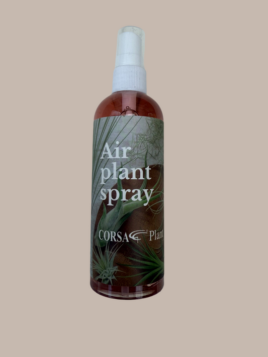 Air Plant Spray – Tillandsien Pflege (150 ml)