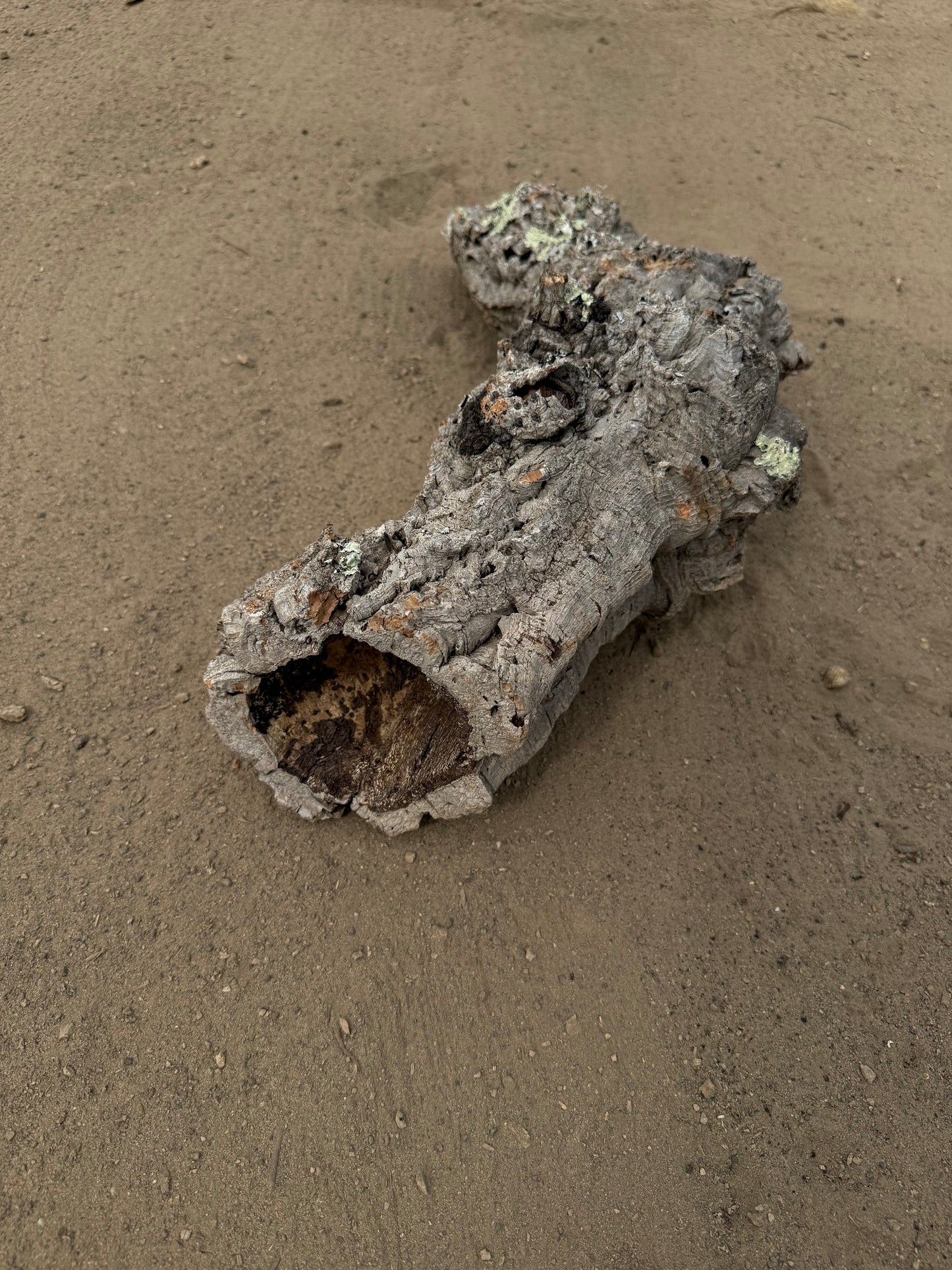 Naturkorkröhre 50 cm – Verzweigtes Einzelstück mit 4–10 cm Öffnungen