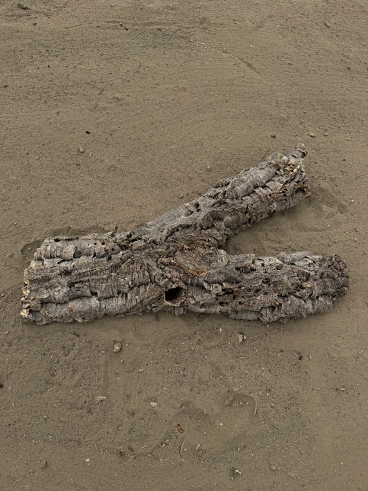 Flache Naturkork Halbröhre 66 cm – Verzweigtes Einzelstück