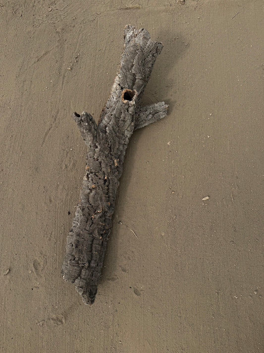 XL Naturkorkröhre mit Seitenästen